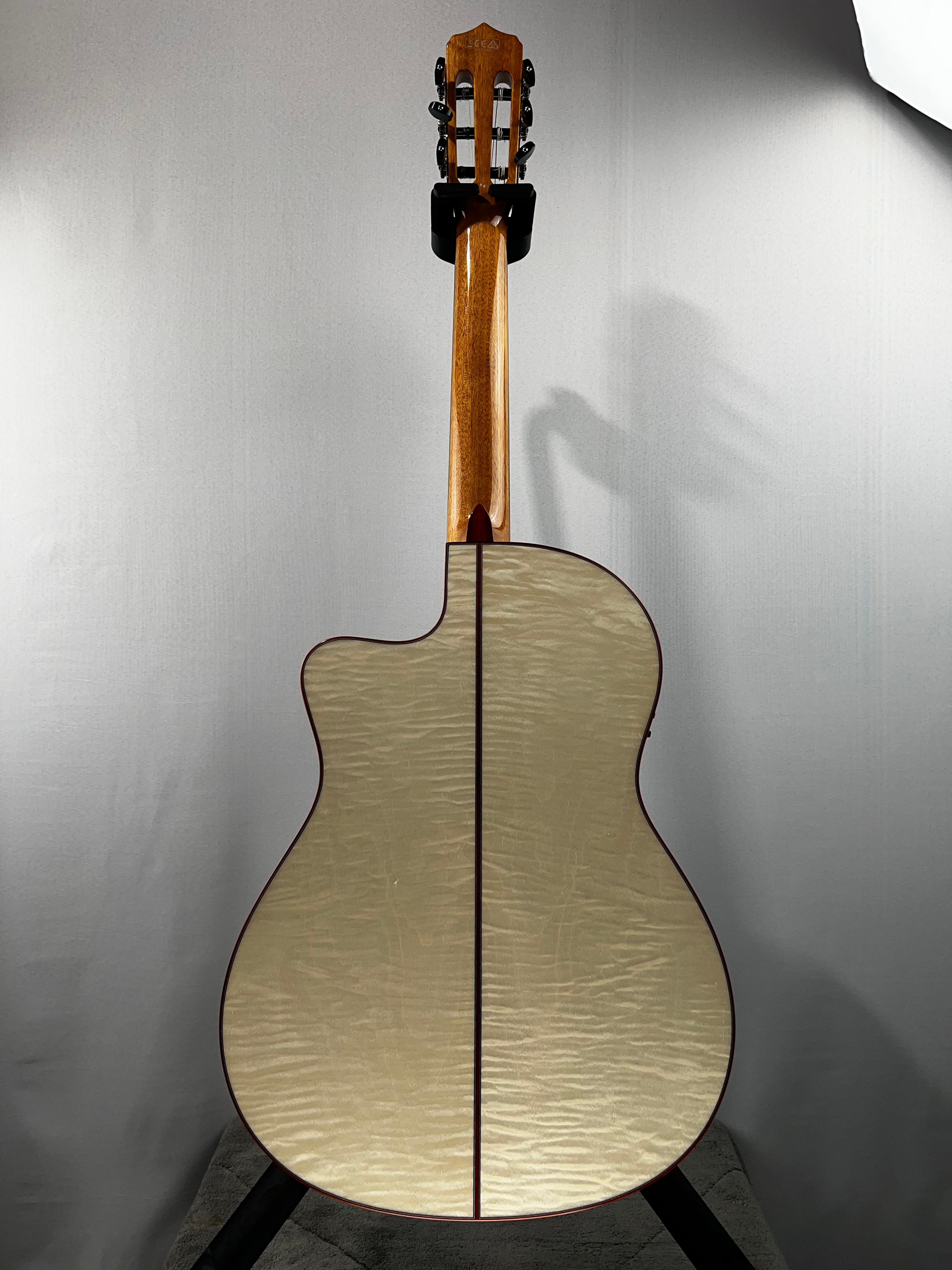 Fusion 12 Exotic Top Nylon-string Acoustic-electric Guitar - White Sands #098 GET PLEK'D!