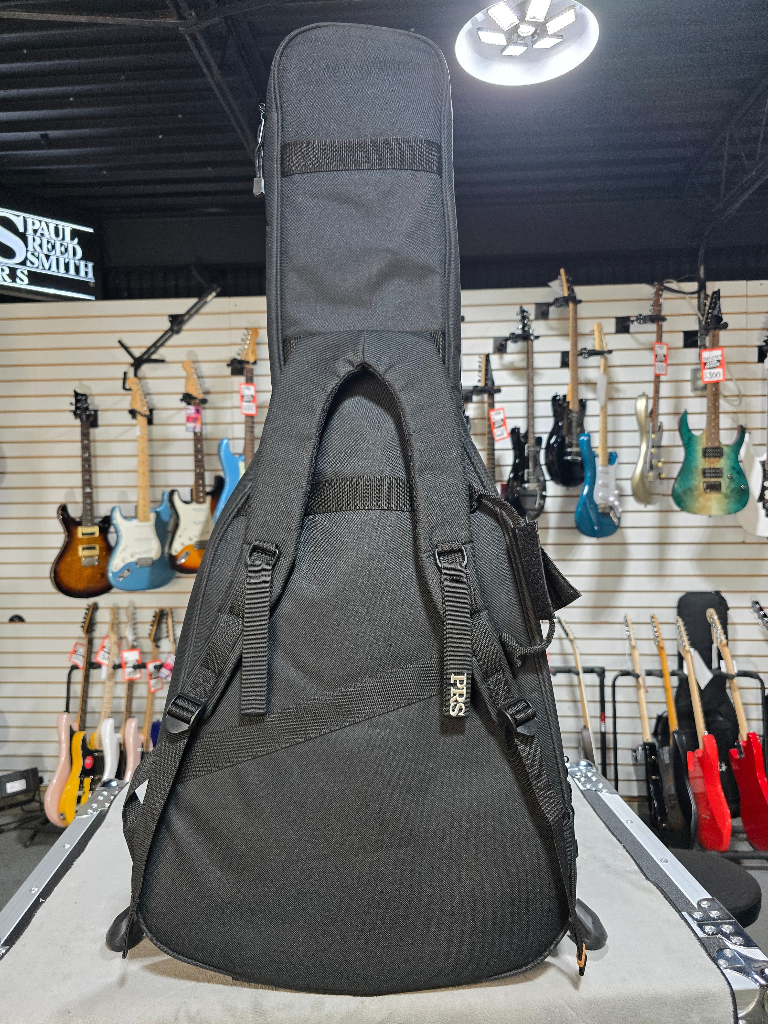 PRS S2 Custom 24 - Eriza Verde w/Gig Bag & PLEK*D #187