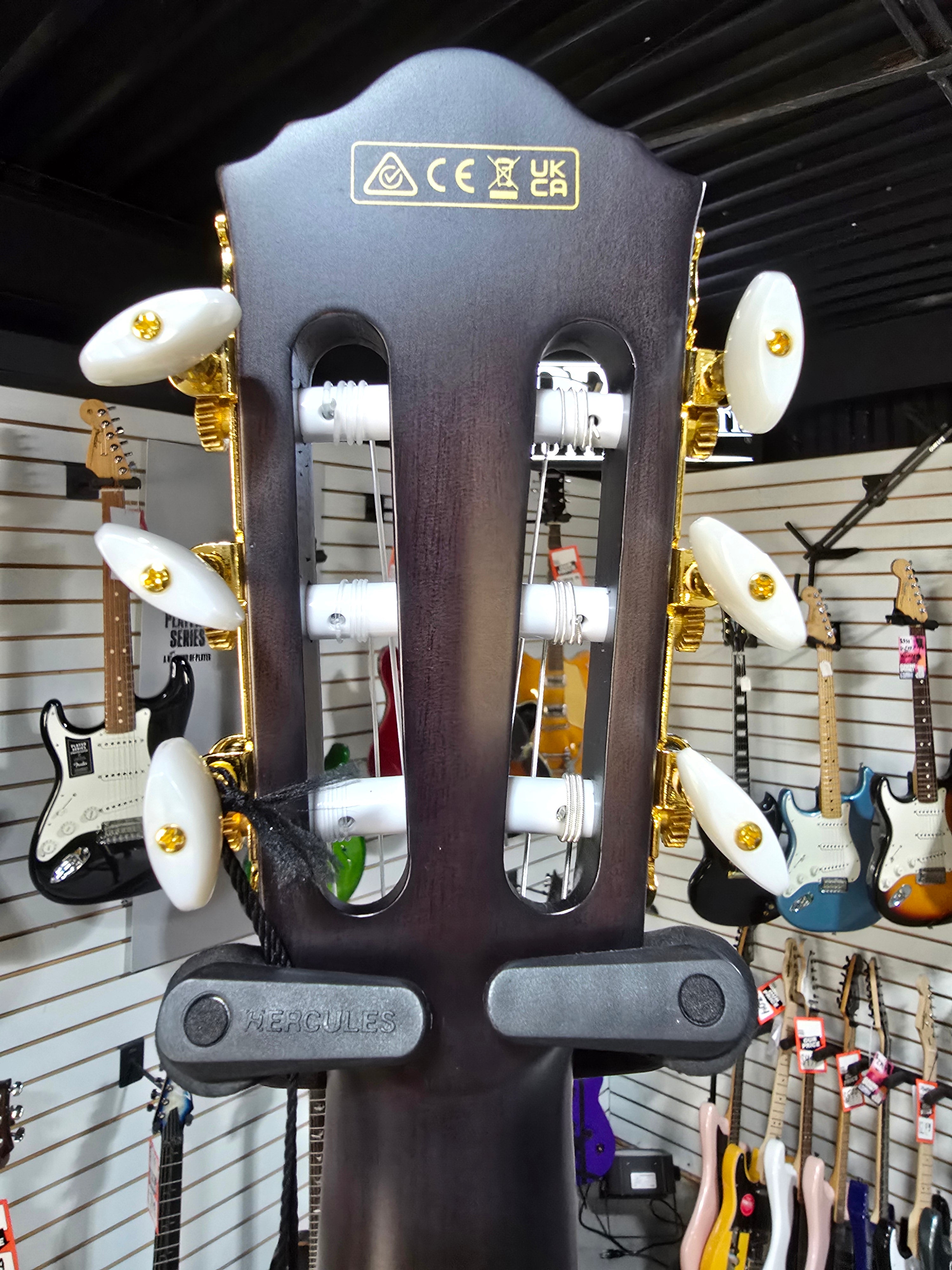 Ibanez FRH20FMN Nylon Acoustic Electric Guitar - Dark Emerald Green & PLEK*D #062