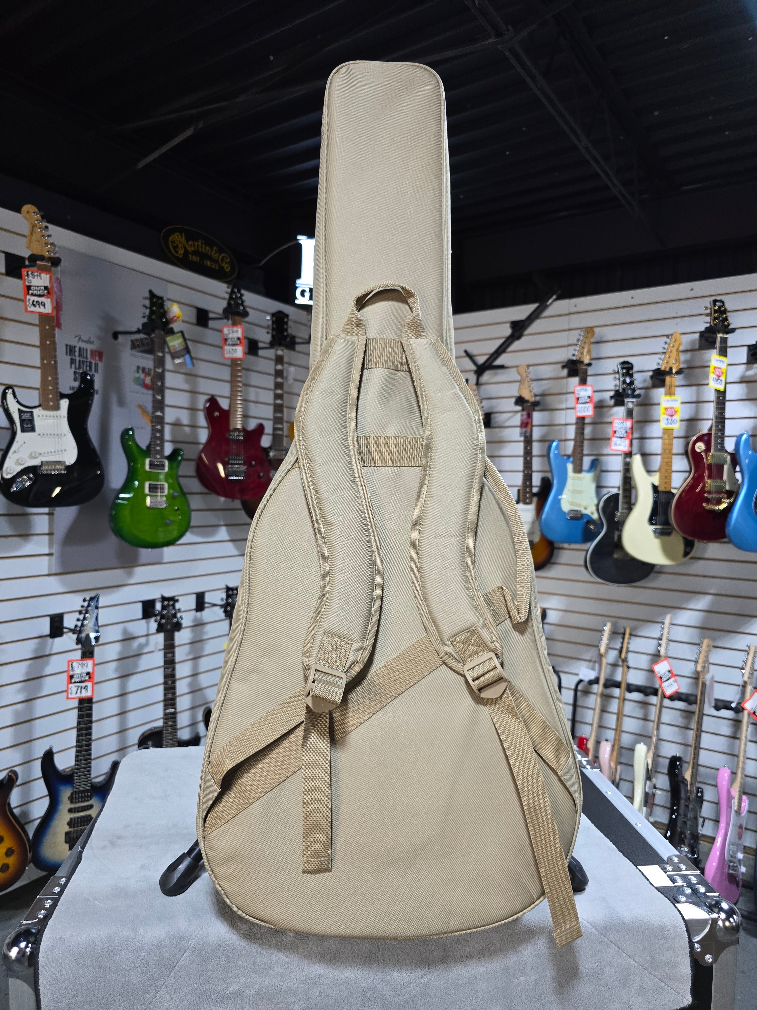 Eastman PCH2-D Acoustic Guitar - Natural w/ Gig Bag #701