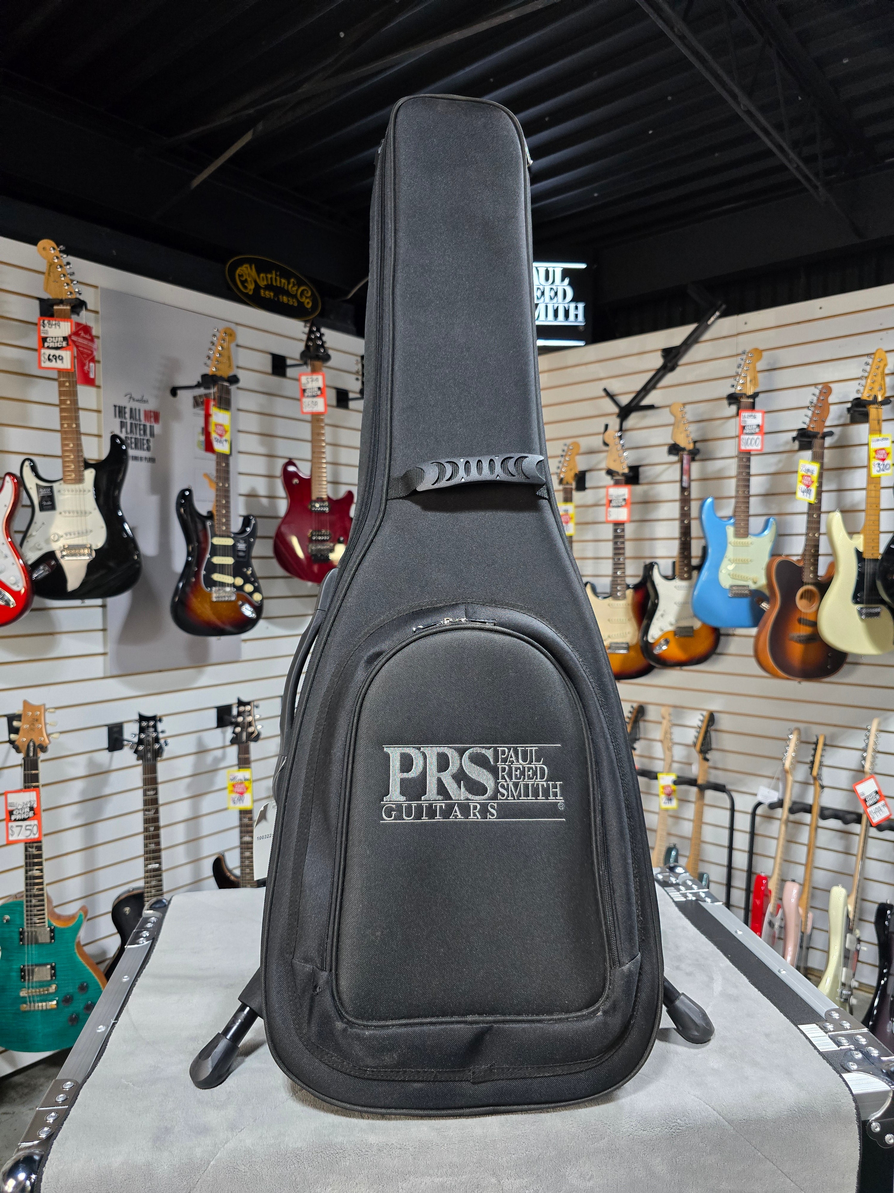 PRS CE 24 Semi-Hollow Electric Guitar - Satin Eriza Verde w/57/08, Gig Bag & PLEK*D #261