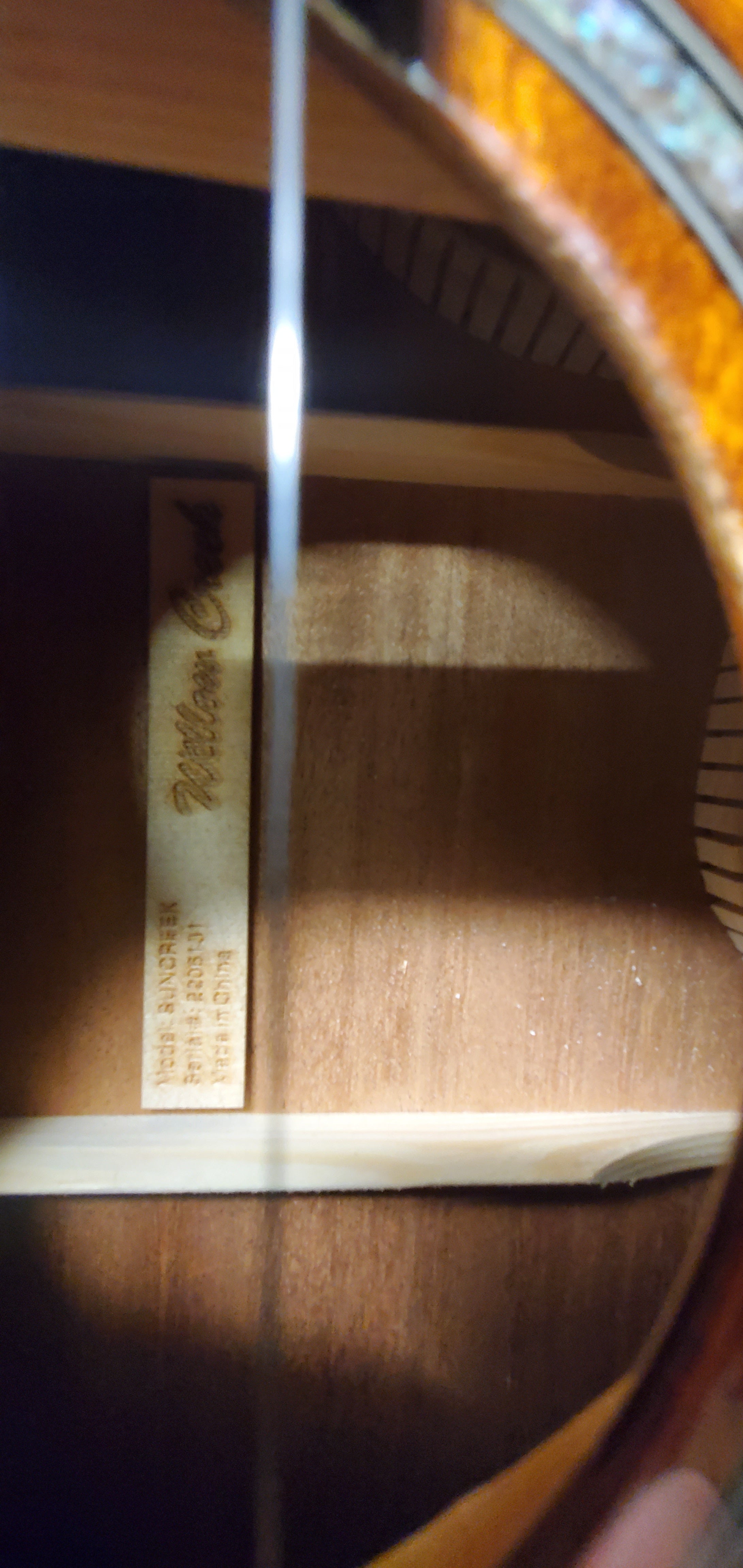 Willow Creek Suncreek-M Acoustic/Electric Guitar #131