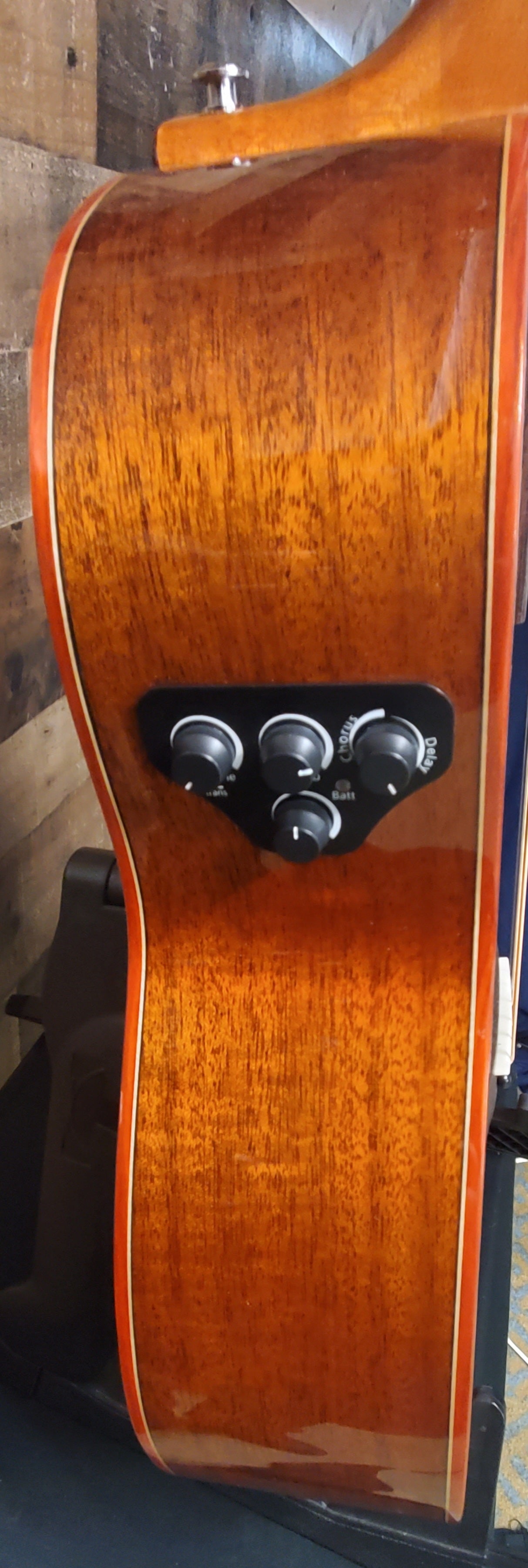 Willow Creek Suncreek-M Acoustic/Electric Guitar #131