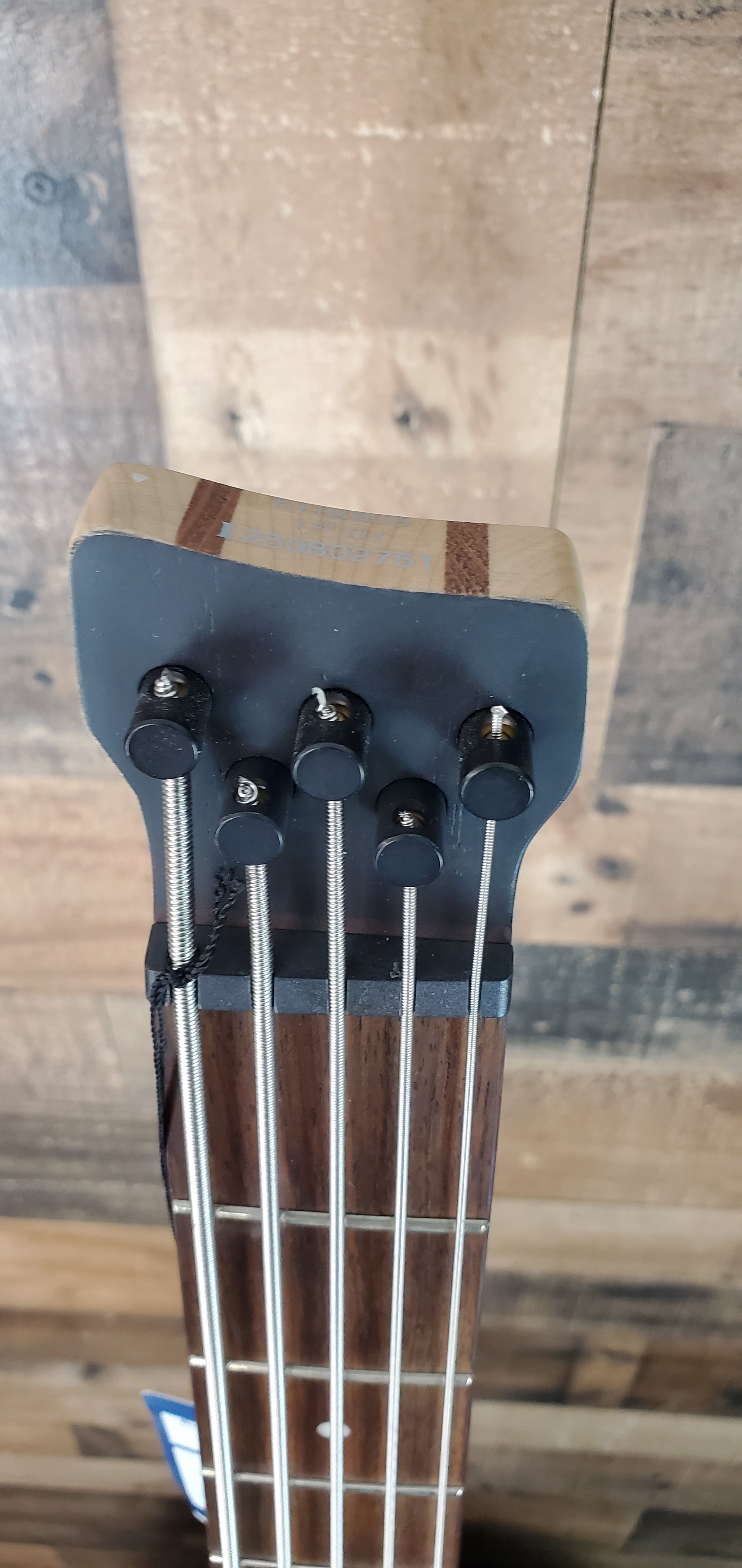 Ibanez EHB605 Purist Blue Matte