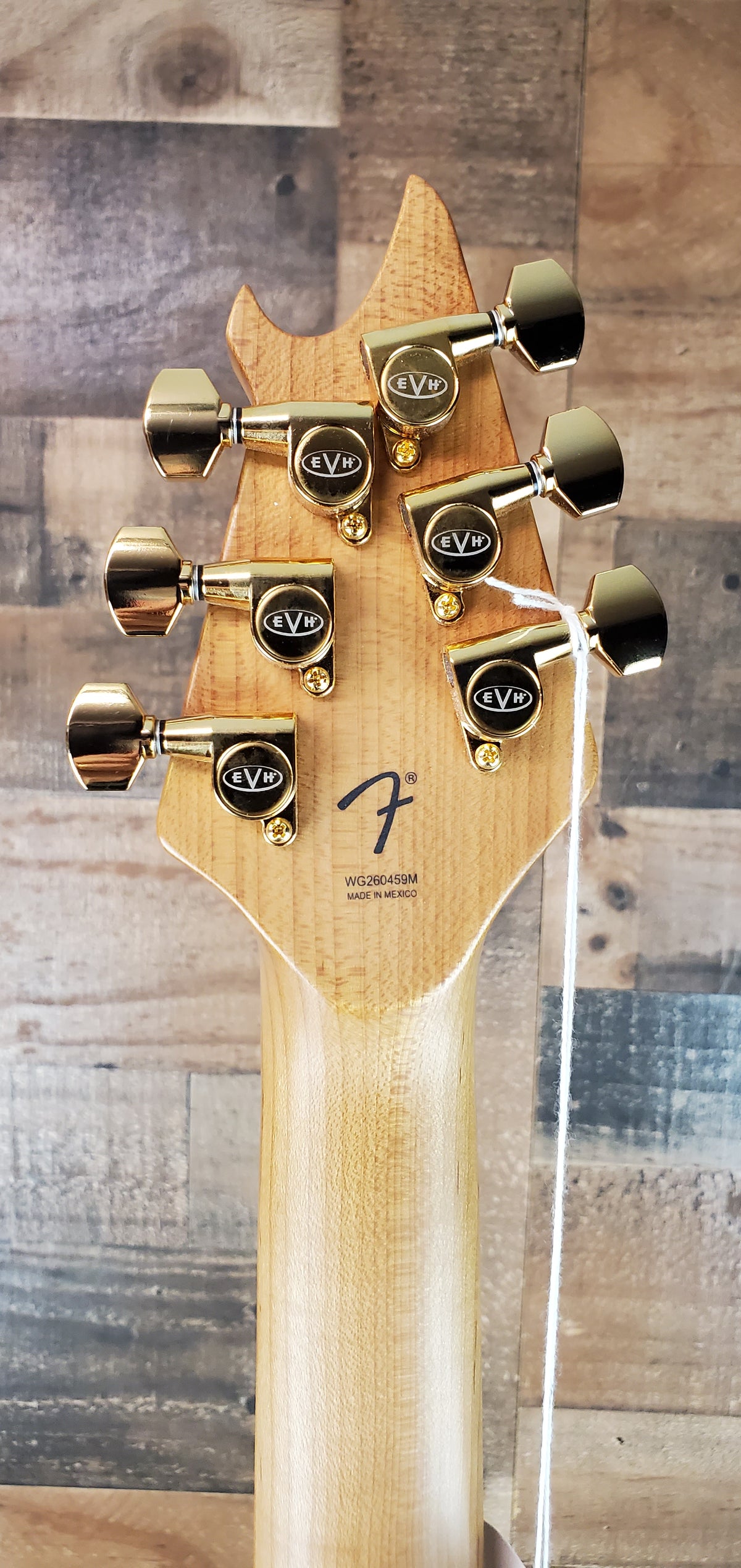 EVH® Wolfgang Special Baked Maple TOM Oxblood