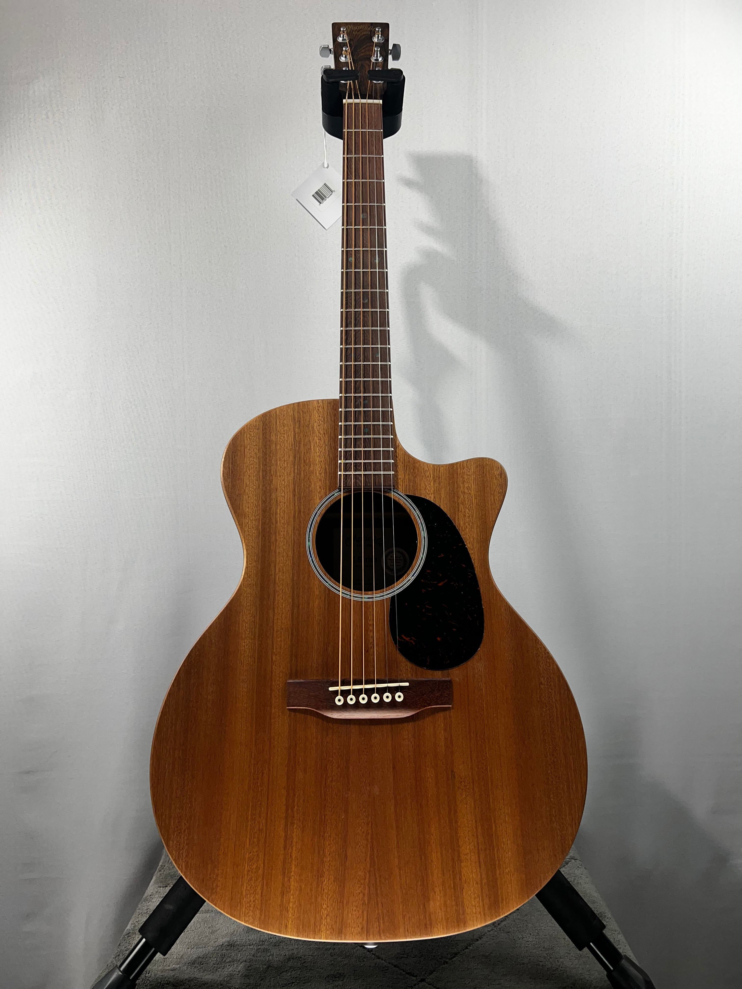 GPC-X2E Ziricote Acoustic-electric Guitar - Natural #277 GET PLEK'D!