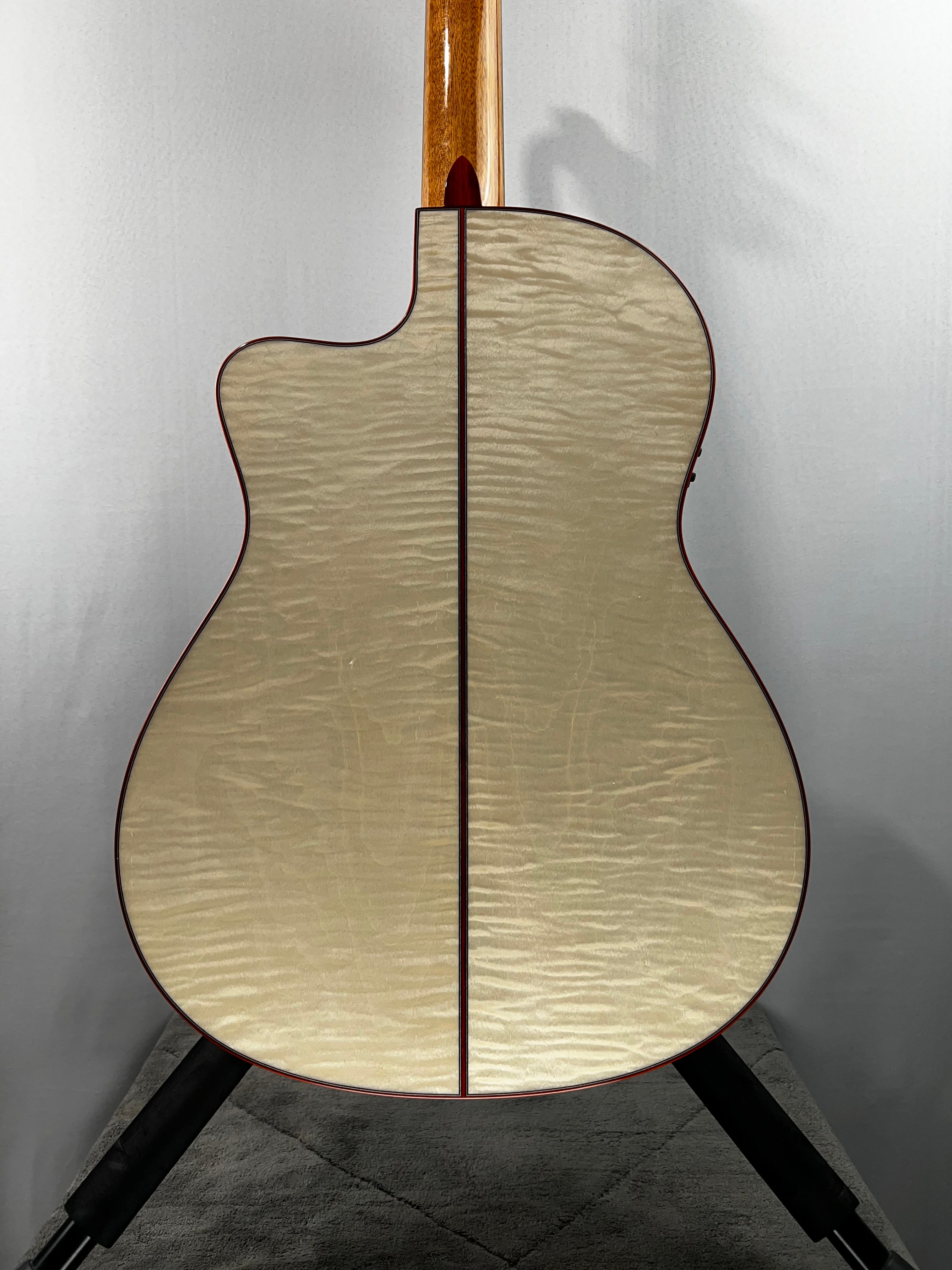 Fusion 12 Exotic Top Nylon-string Acoustic-electric Guitar - White Sands #098 GET PLEK'D!