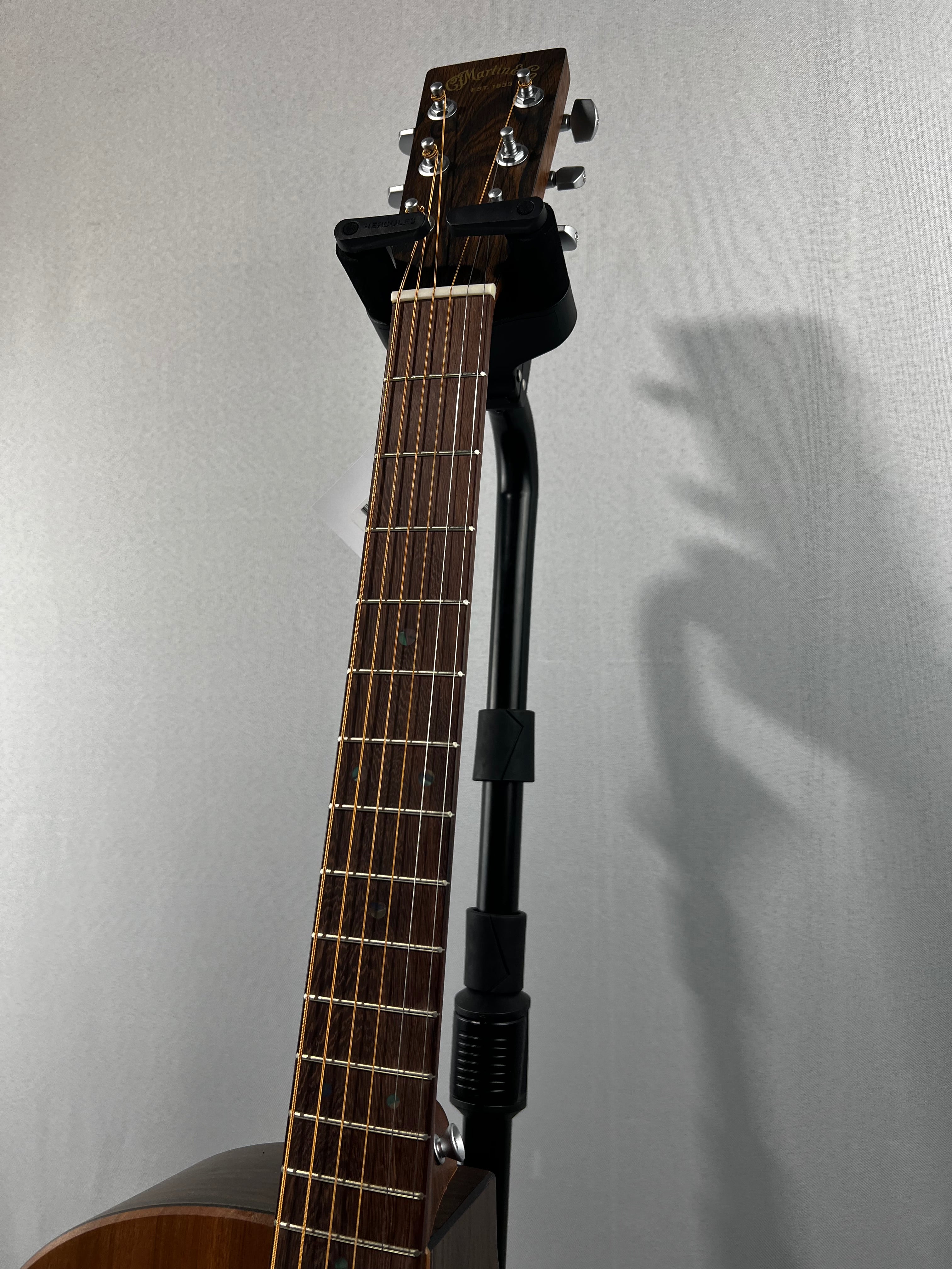 GPC-X2E Ziricote Acoustic-electric Guitar - Natural #277 GET PLEK'D!