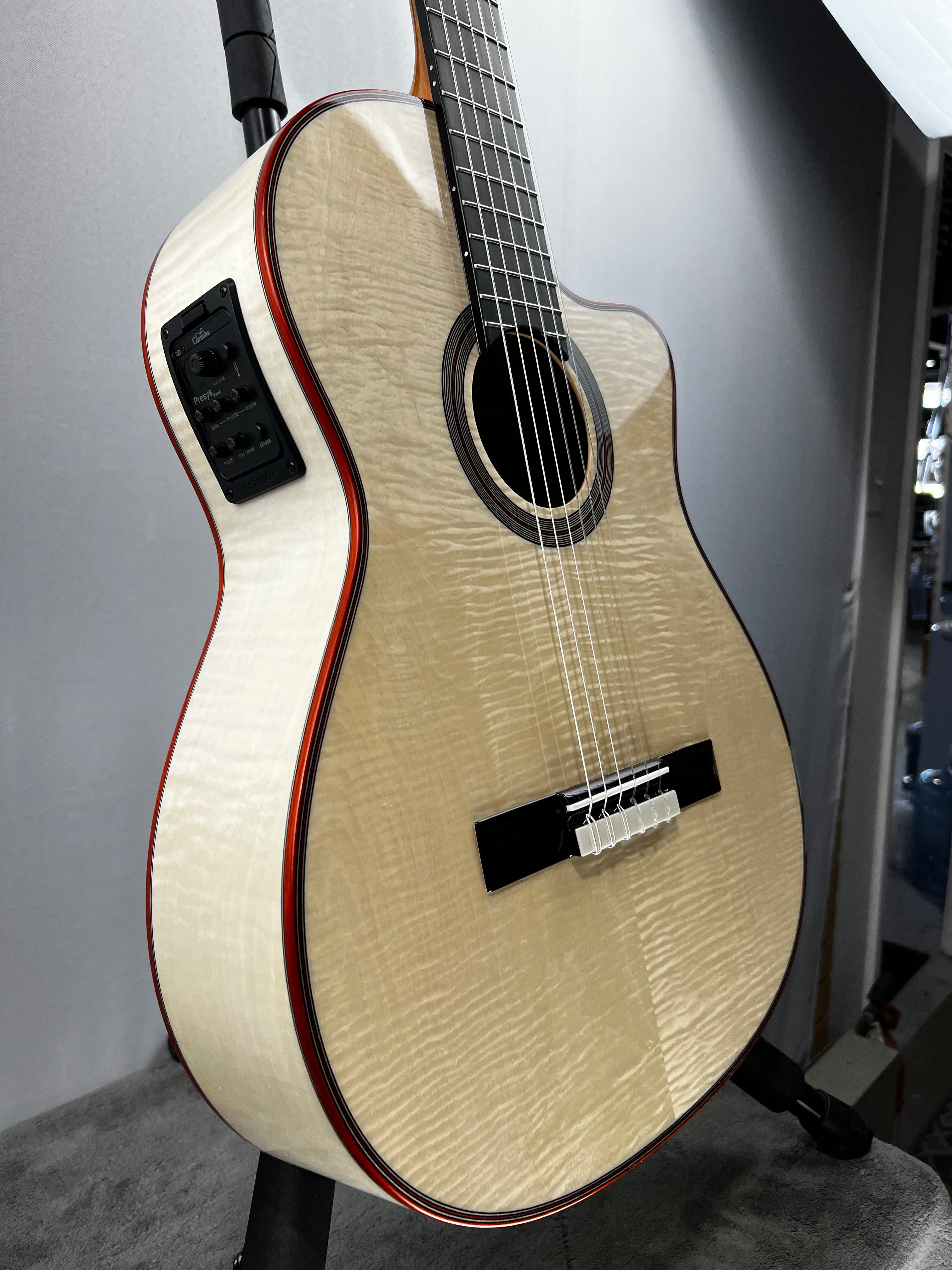 Fusion 12 Exotic Top Nylon-string Acoustic-electric Guitar - White Sands #098 GET PLEK'D!