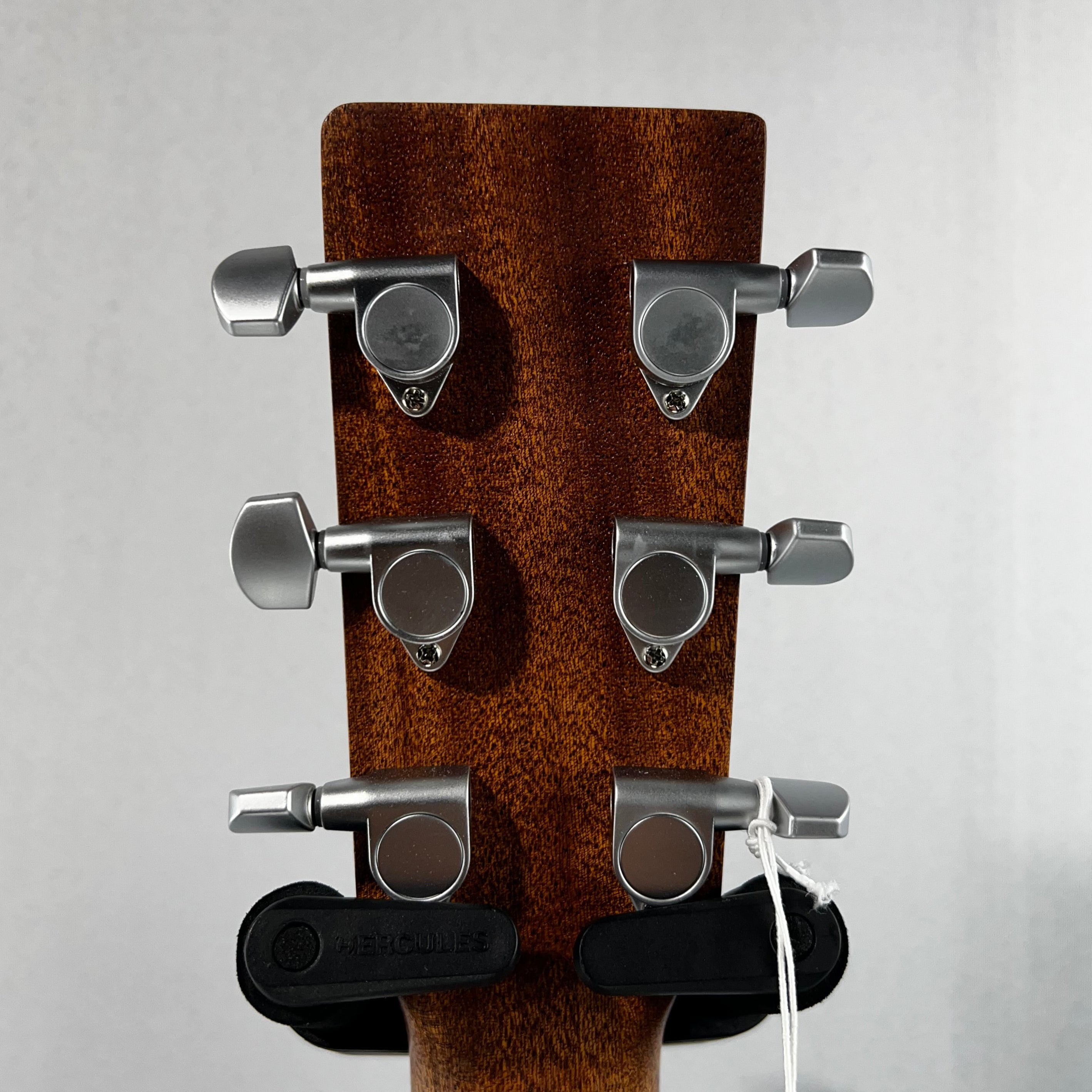 GPC-X2E Ziricote Acoustic-electric Guitar - Natural #277 GET PLEK'D!