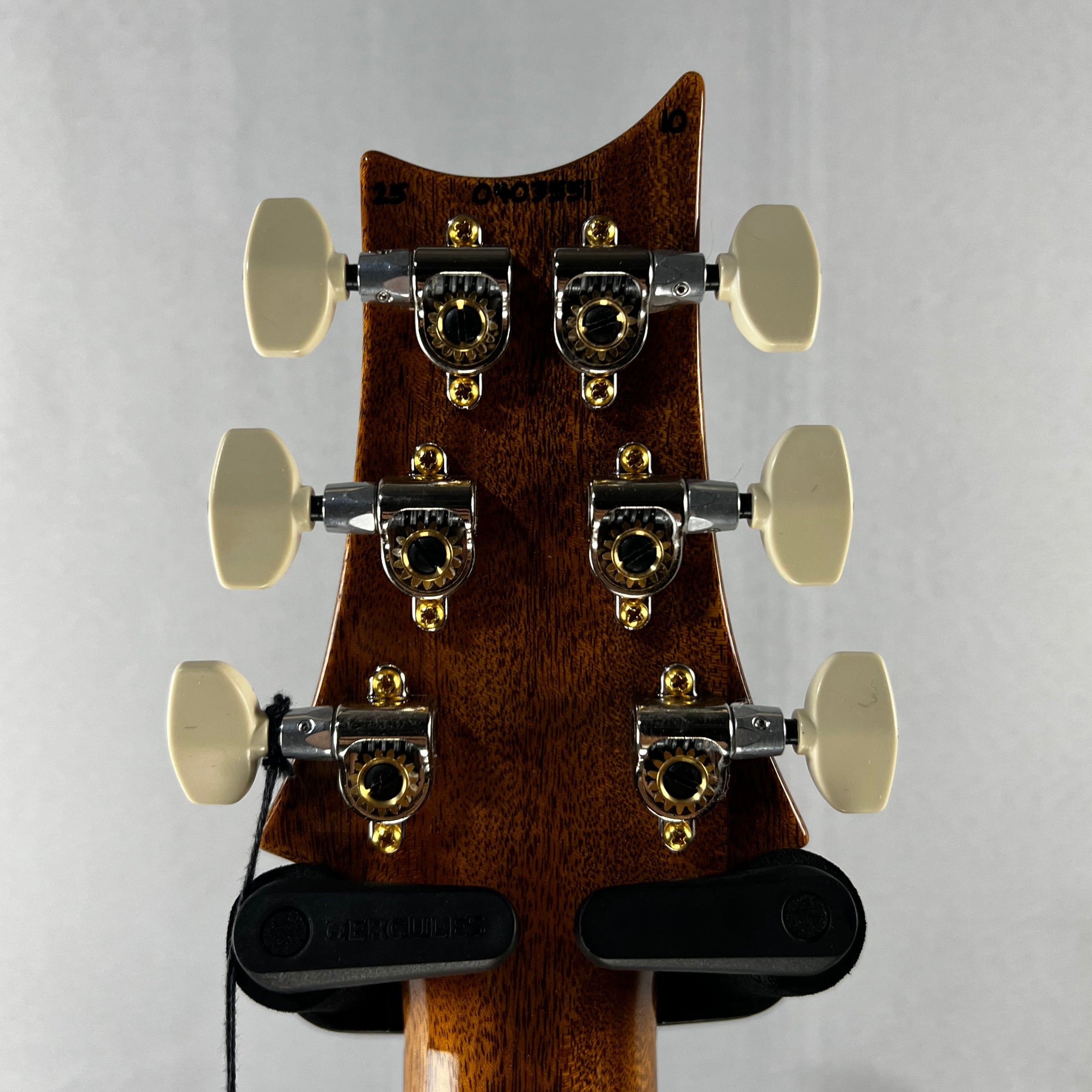 Wood Library Special 22 Semi Hollow - Custom Color Smokeburst #551