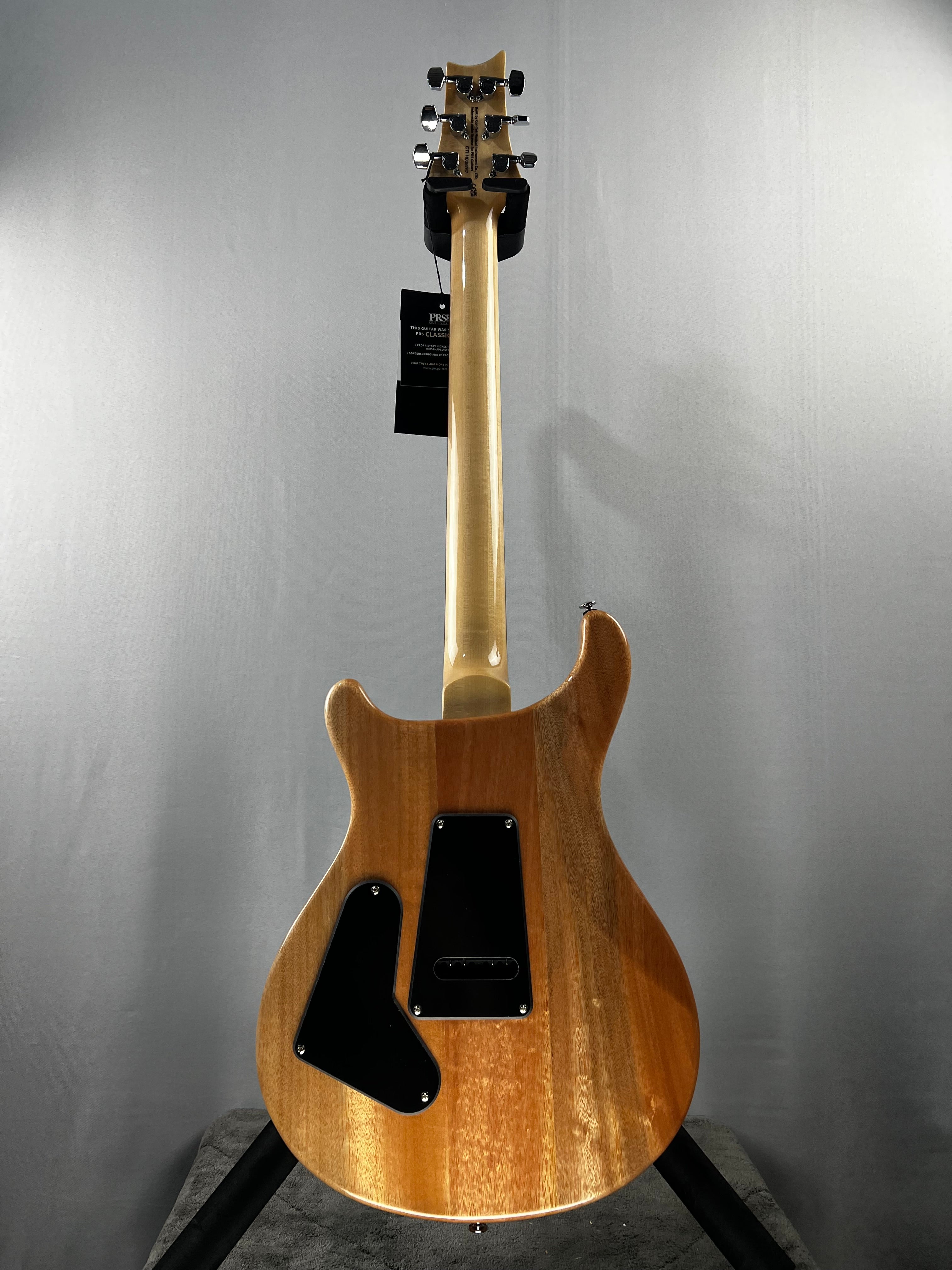 SE Custom 24 Exotic Electric Guitar - Lake Blue #767 GET PLEK'D!