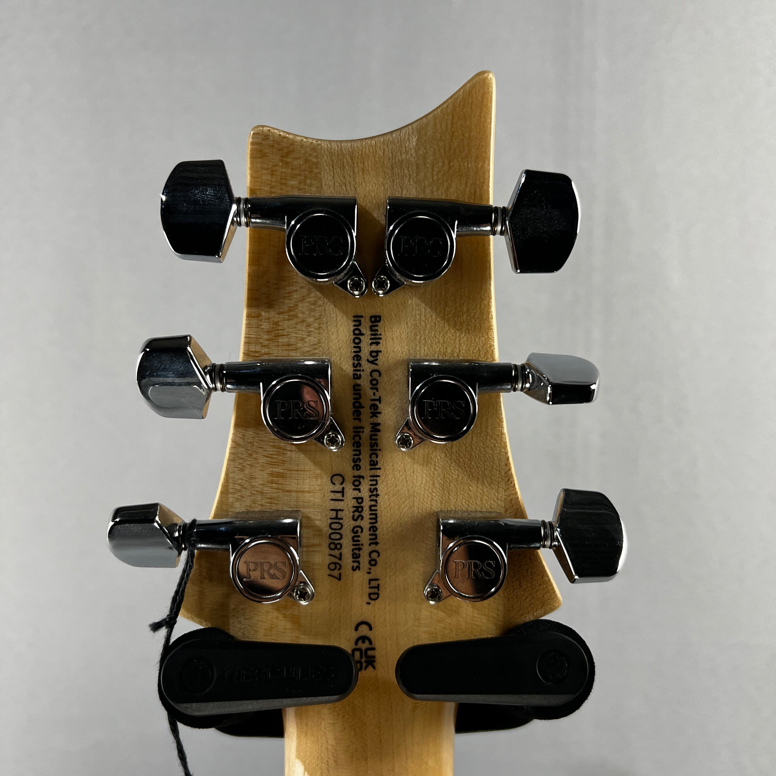SE Custom 24 Exotic Electric Guitar - Lake Blue #767 GET PLEK'D!