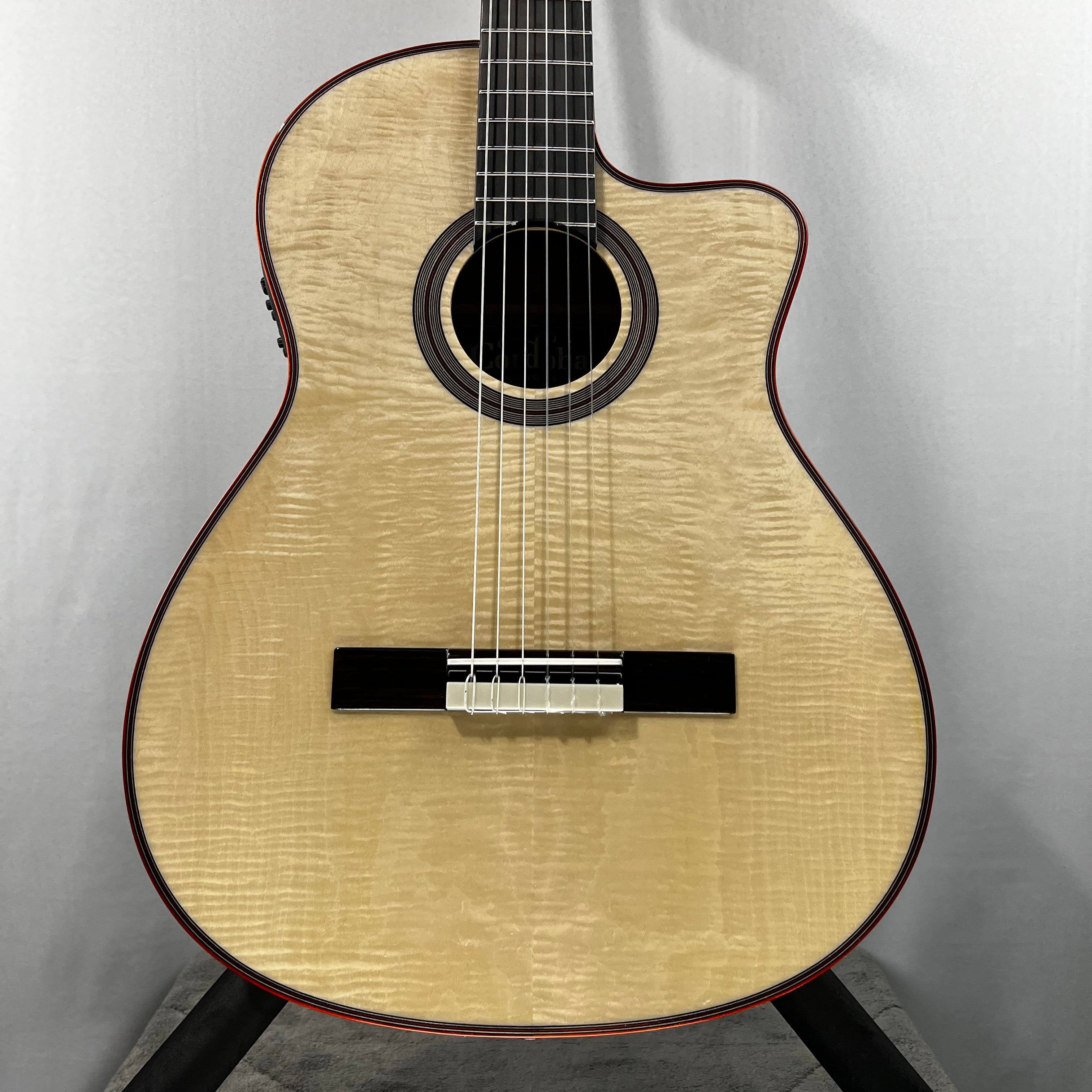 Fusion 12 Exotic Top Nylon-string Acoustic-electric Guitar - White Sands #098 GET PLEK'D!