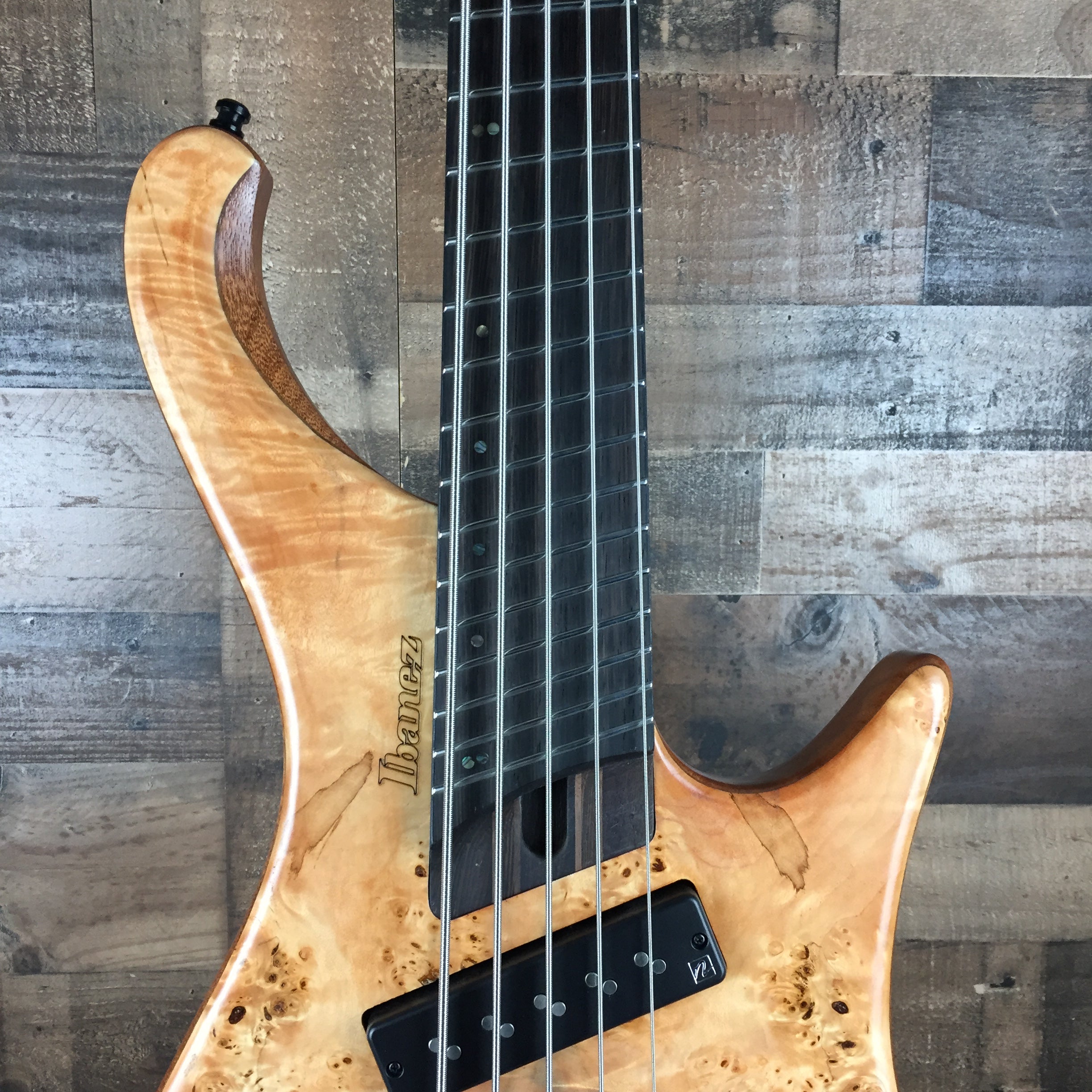 EHB1505SMS Bass Guitar w/Gig Bag, Florid Natural Low Gloss, 175