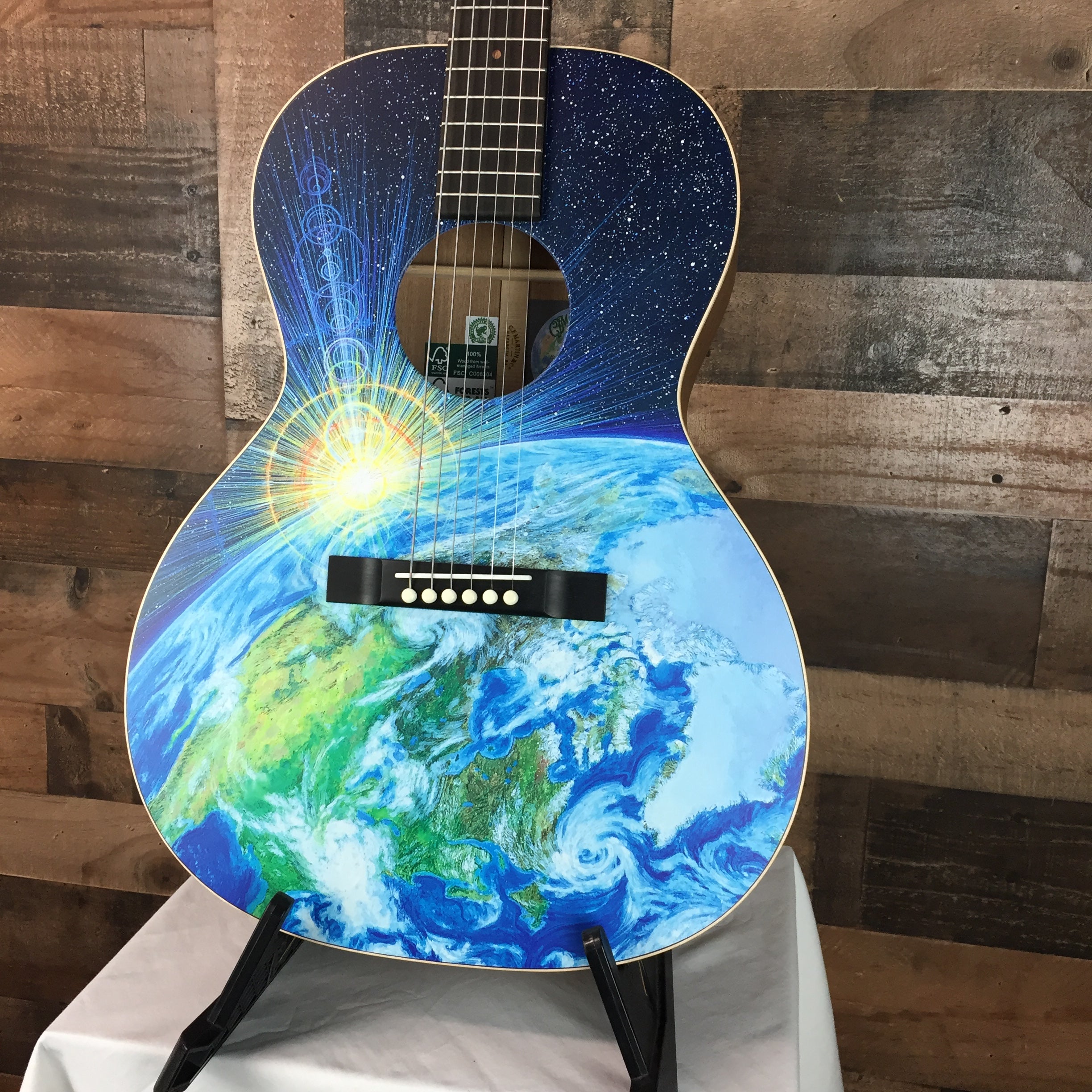 Martin 00L Earth Acoustic Guitar with Soft Case, 466