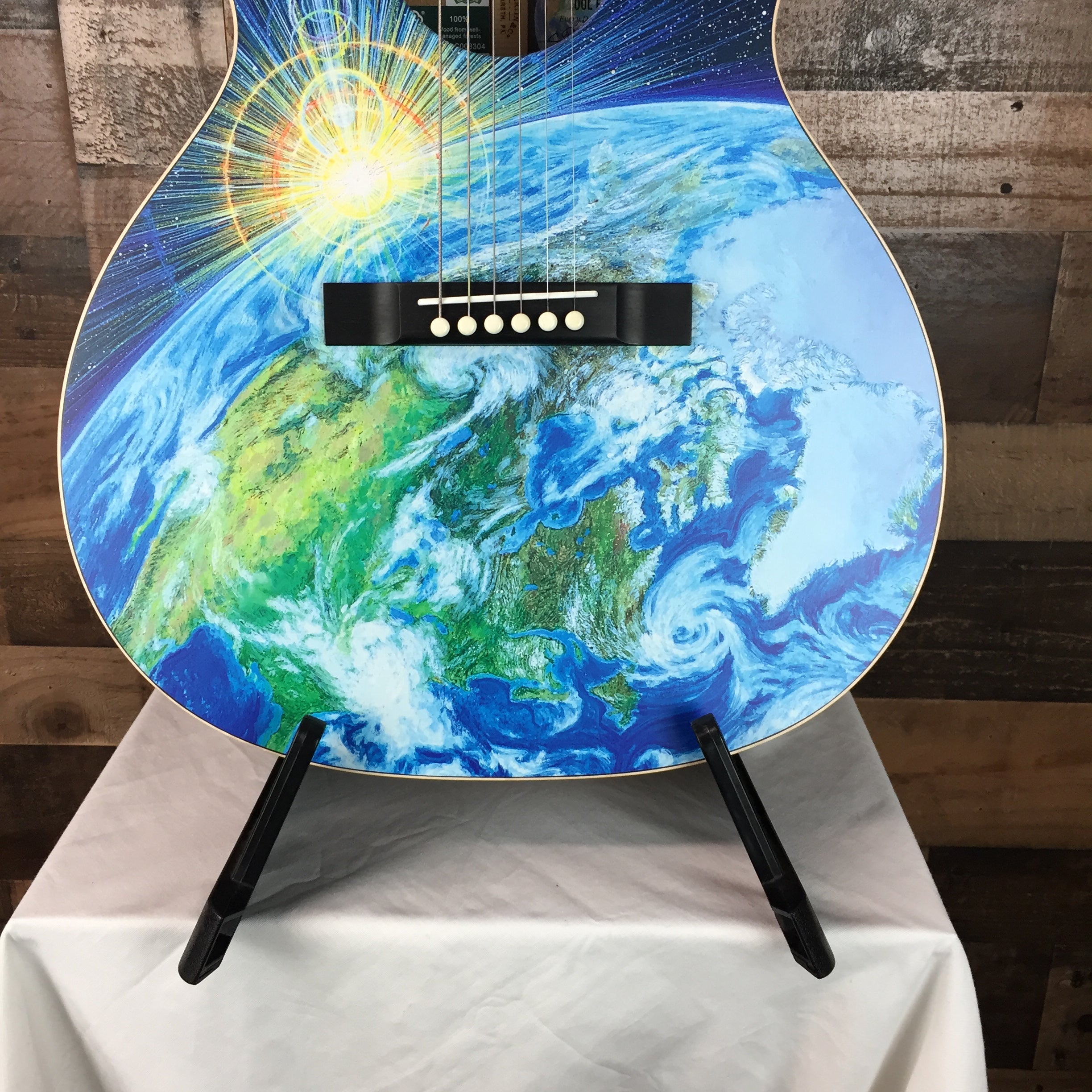 Martin 00L Earth Acoustic Guitar with Soft Case, 466