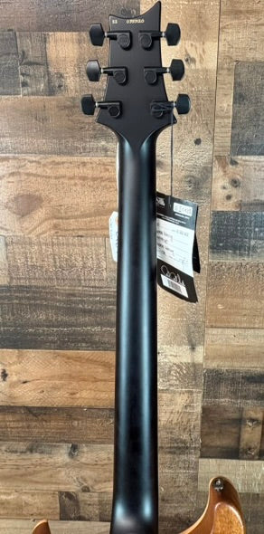 PRS Dustie Waring CE24 w/Floyd Rose Trem, Satin Black Top, Free Ship, Gig Bag, 120