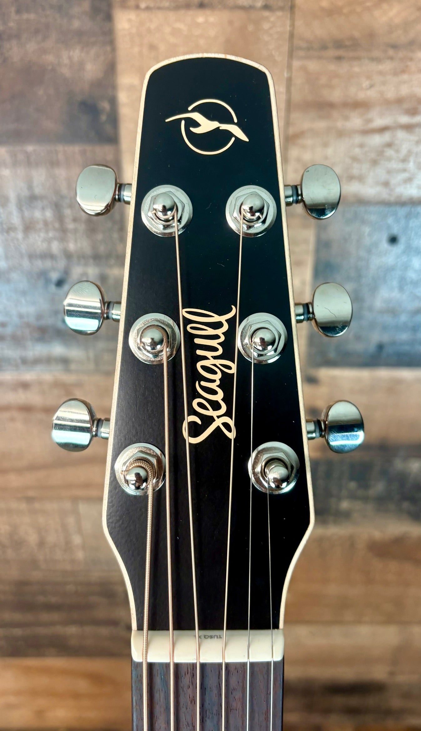 Seagull Coastline S6 Slim Cutaway Spruce Presys II Acoustic/Electric Guitar