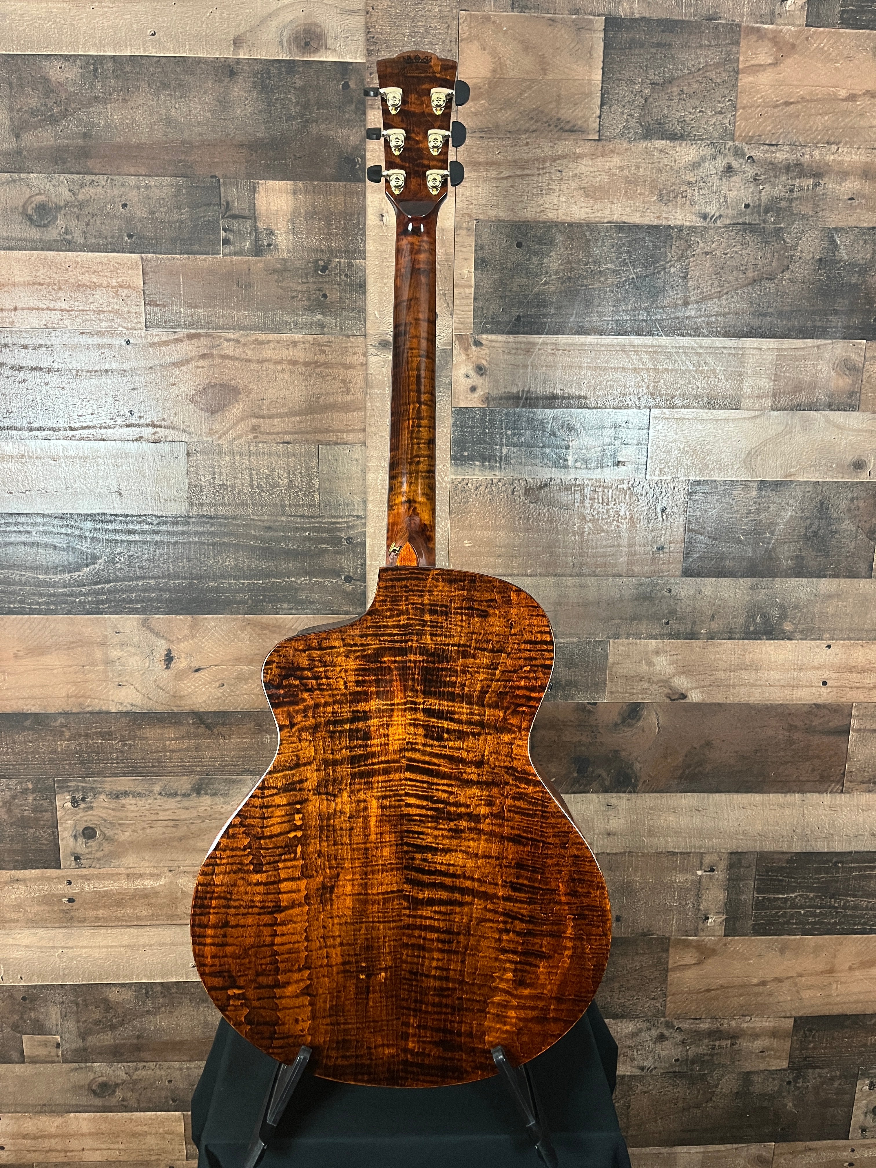 Meridaextrema DTGCEQ Acoustic Electric, w/Gig Bag, 916