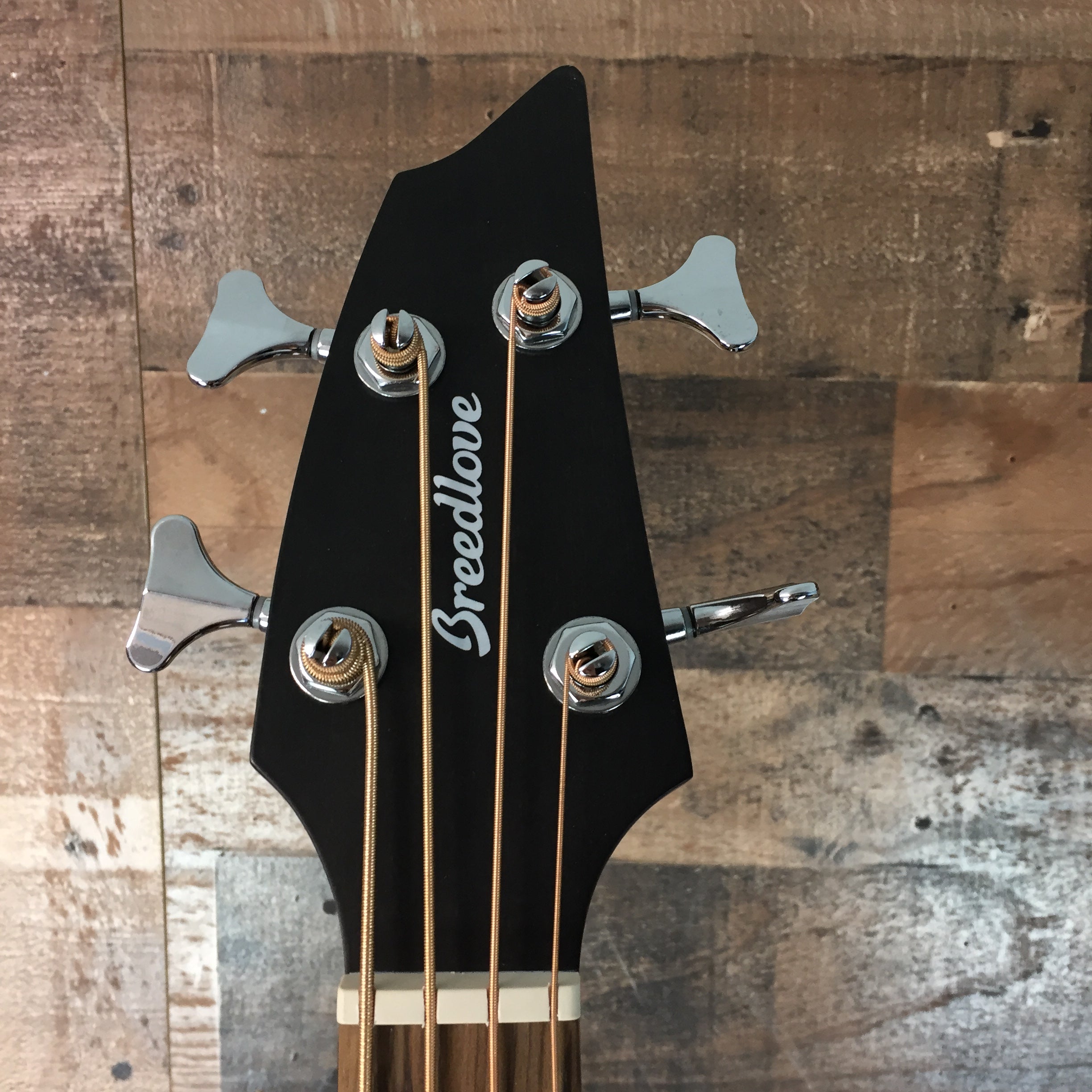 Breedlove Discovery Concert CE Ac/Elec Bass, Edgeburst, 621