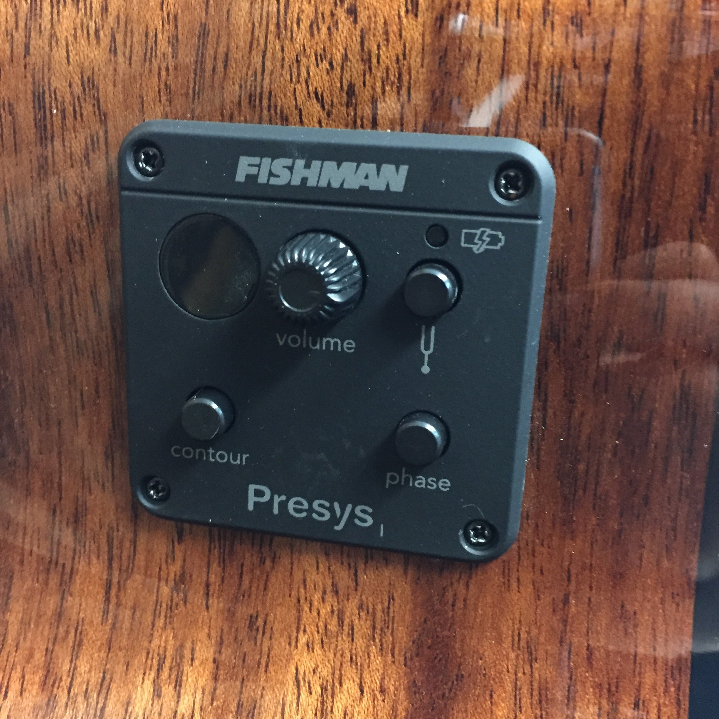 Breedlove Discovery Concert CE Ac/Elec Bass, Edgeburst, 621