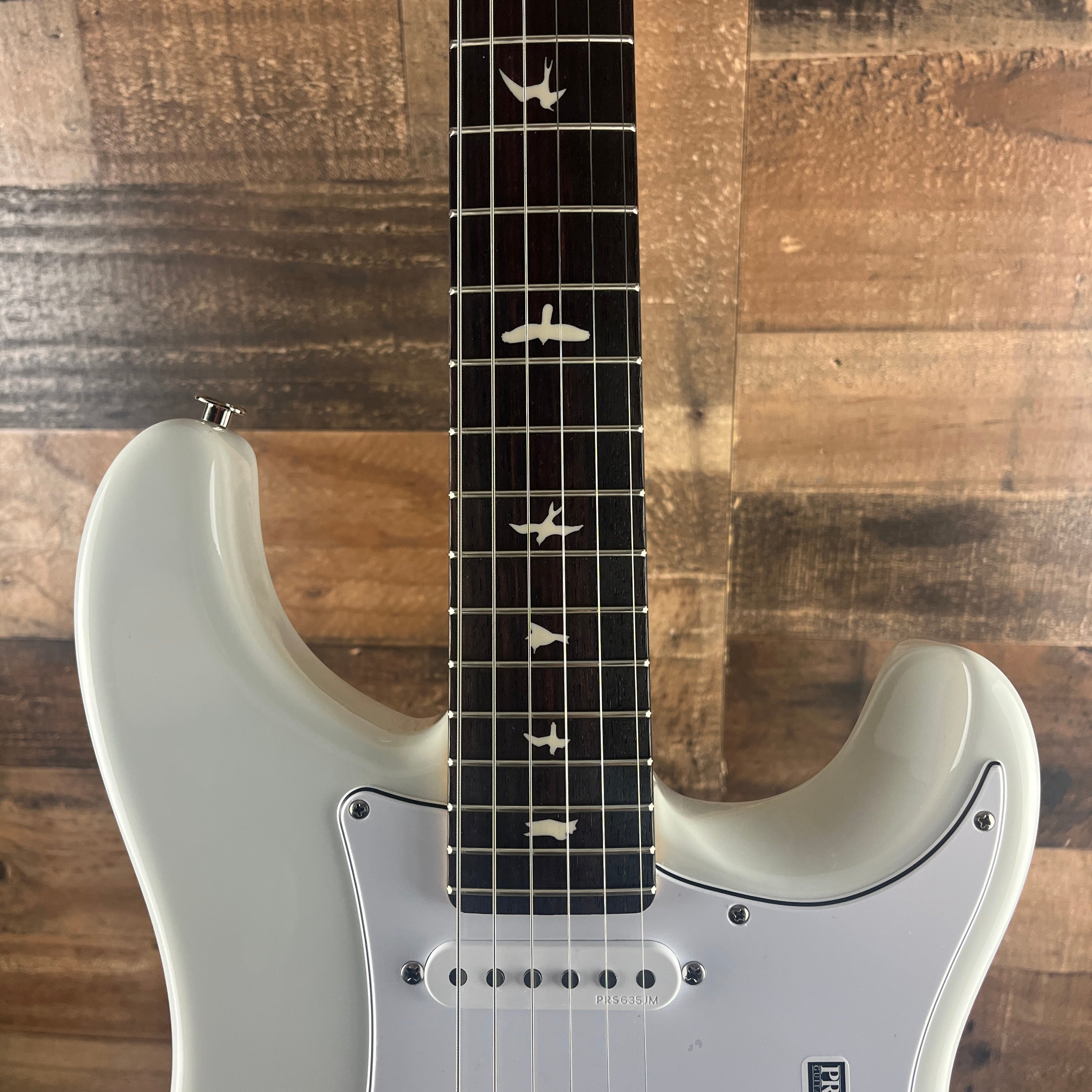 PRS Silver Sky White Frost with Rosewood Fretboard, Gig Bag, 865