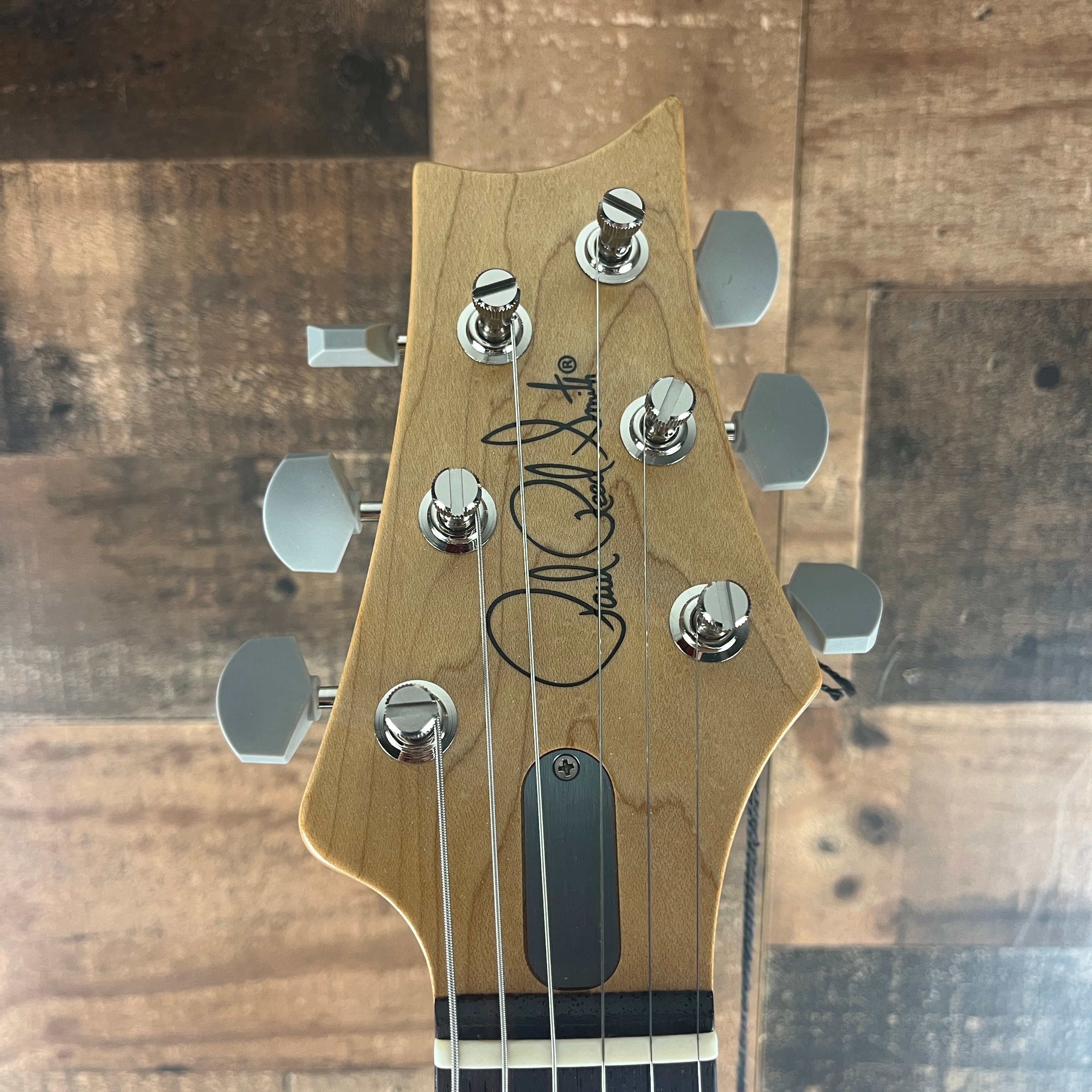 PRS Silver Sky White Frost with Rosewood Fretboard, Gig Bag, 865