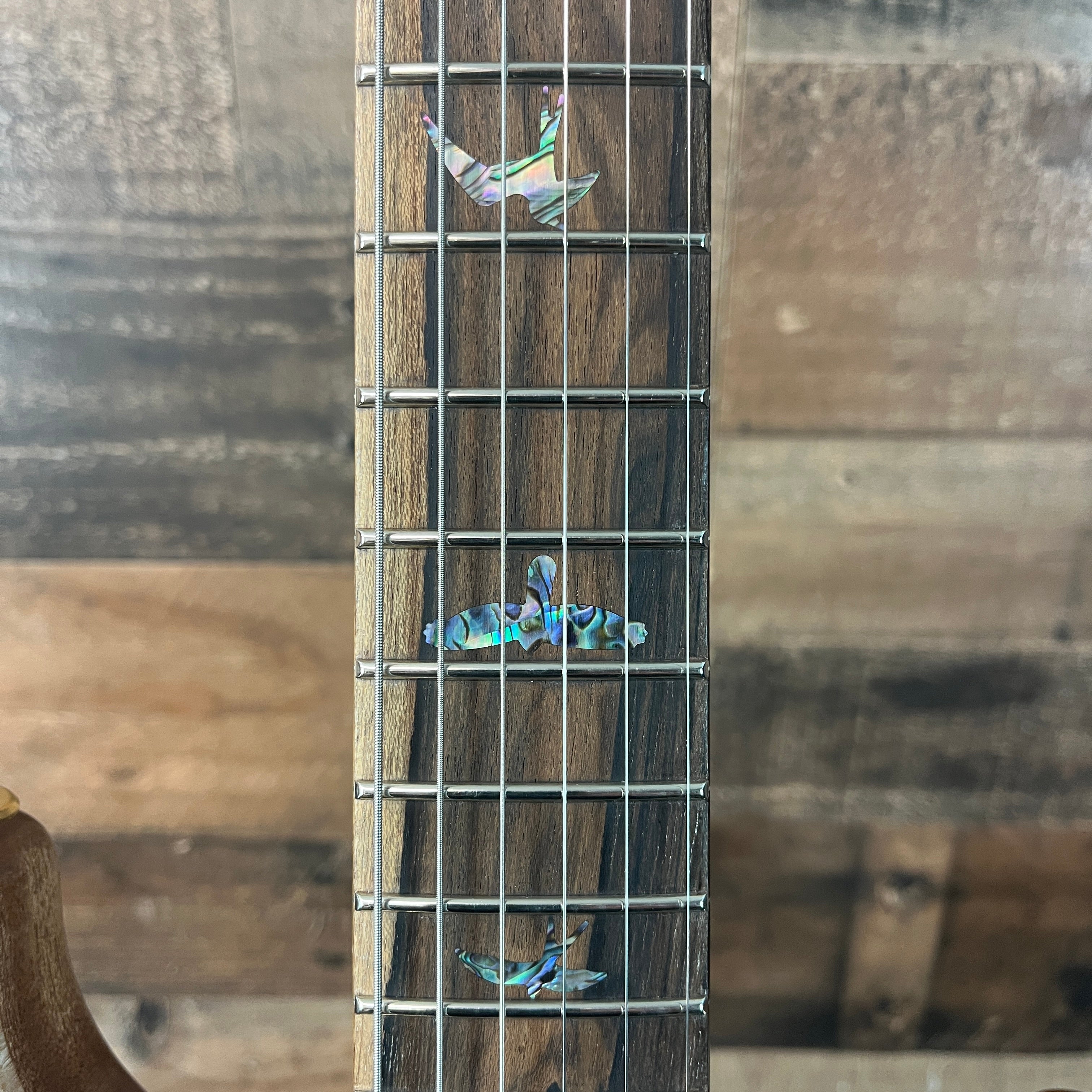 PRS Wood Library DGT, David Grissom Signature, Electric Guitar, Quilt 10 Top, Aquableaux Finish, PRS Paisley Case, 559