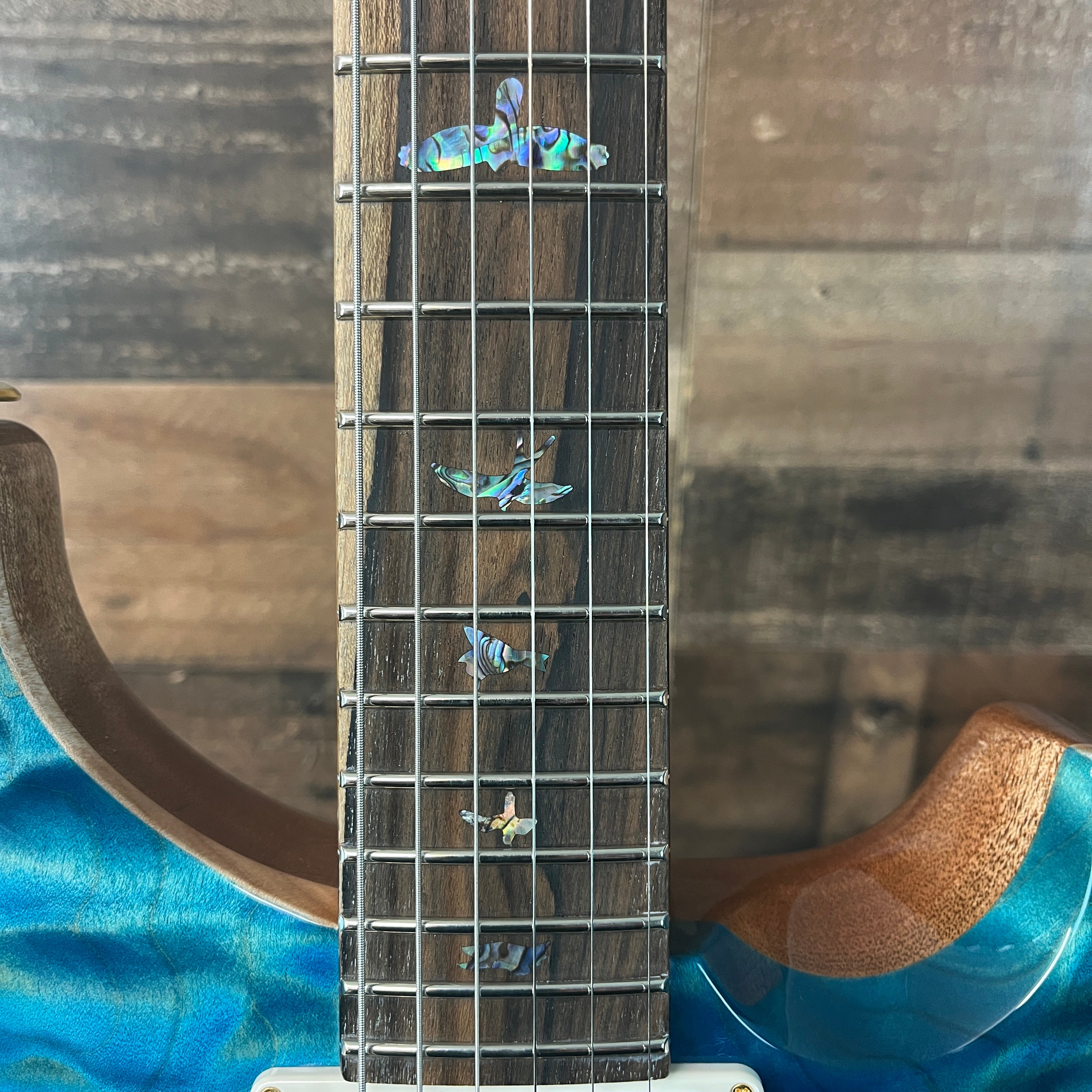 PRS Wood Library DGT, David Grissom Signature, Electric Guitar, Quilt 10 Top, Aquableaux Finish, PRS Paisley Case, 559