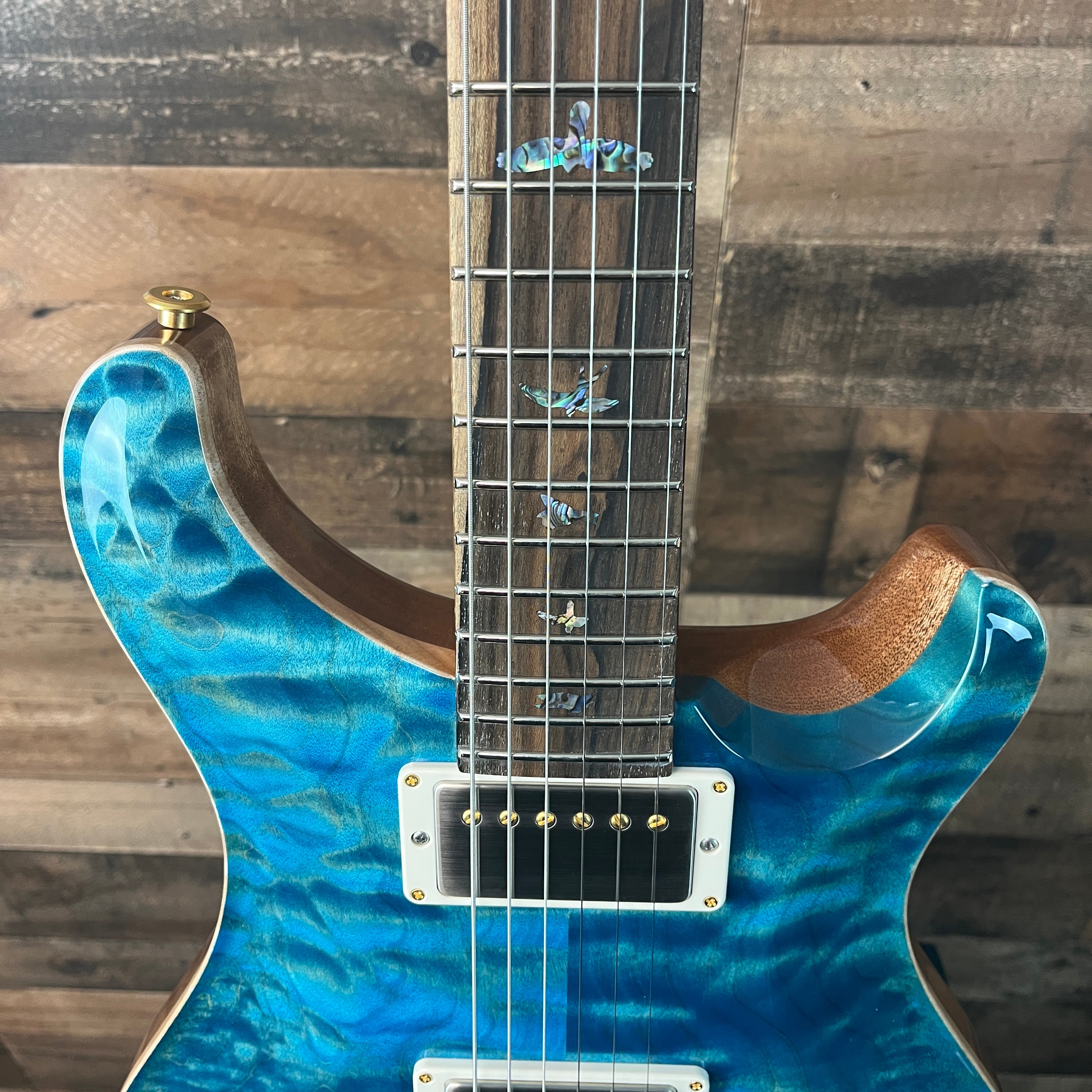 PRS Wood Library DGT, David Grissom Signature, Electric Guitar, Quilt 10 Top, Aquableaux Finish, PRS Paisley Case, 559