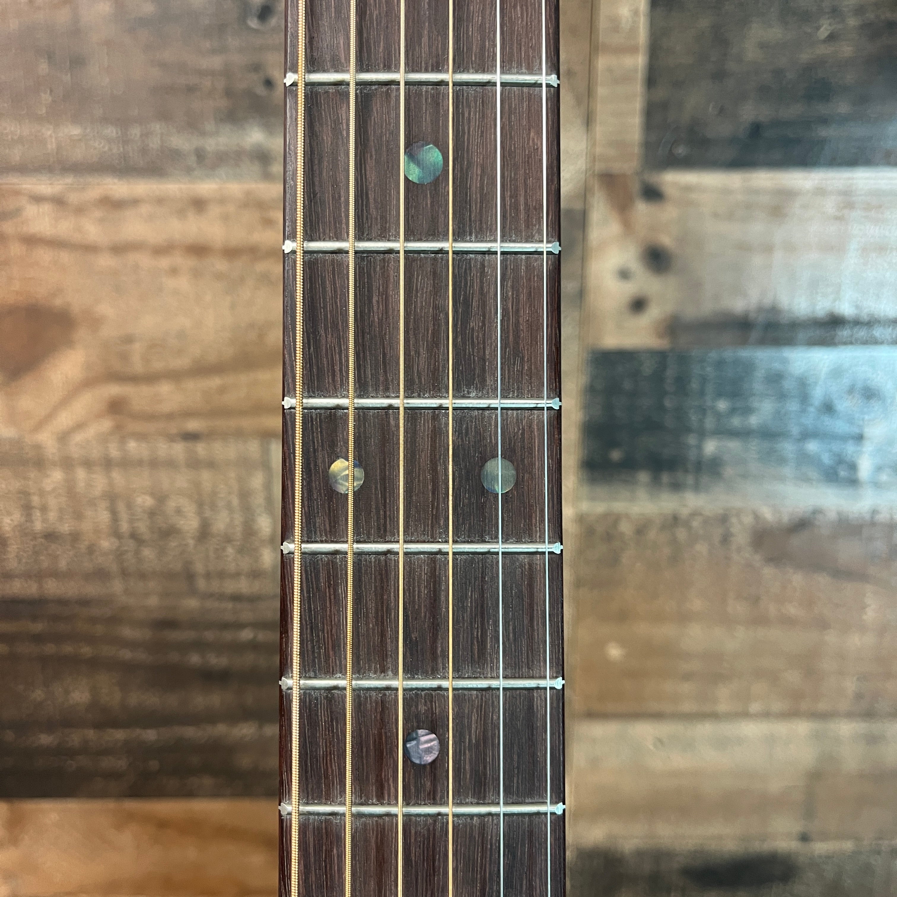 DX2E, Brazilian Rosewood Pattern, Gig Bag, 294