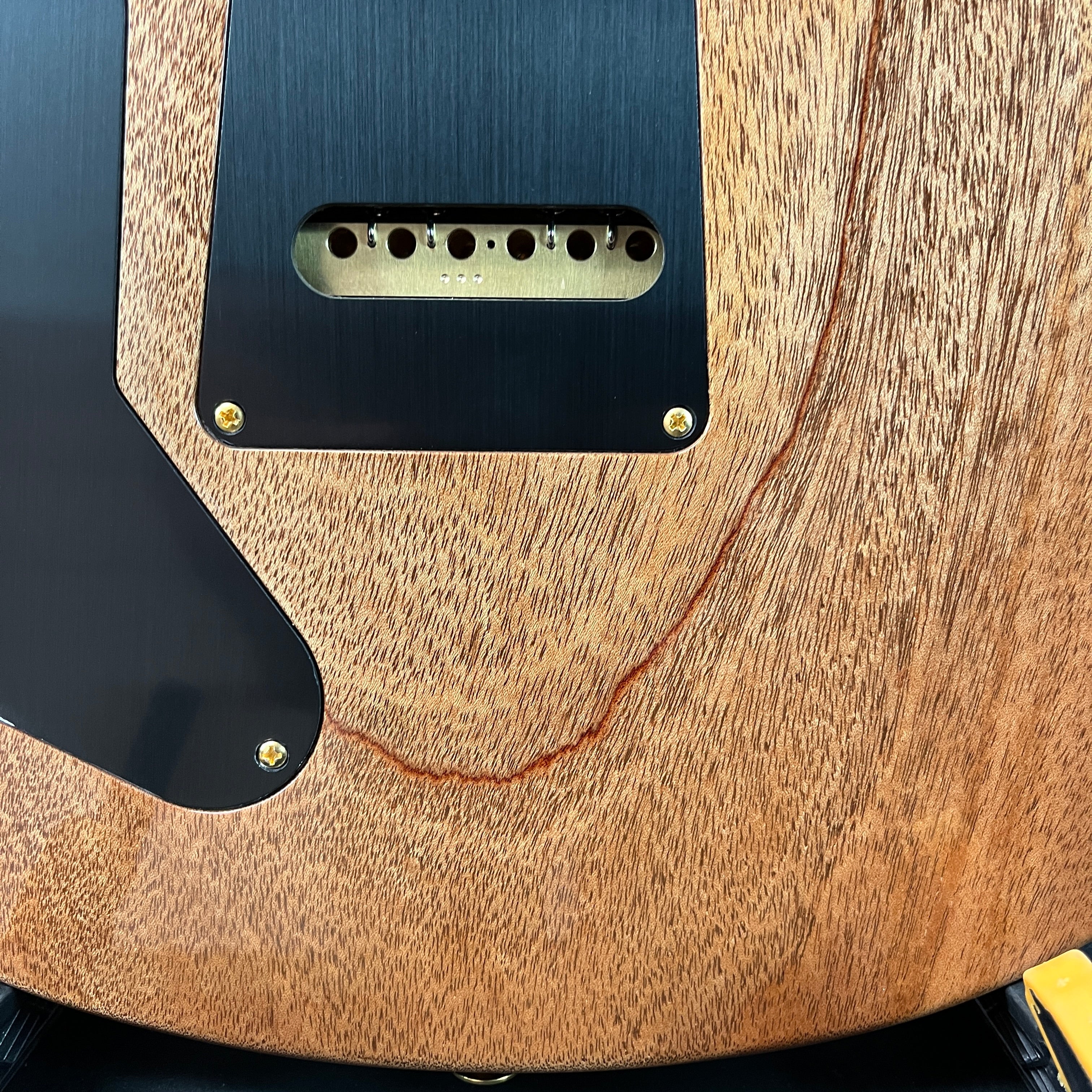 2025 Wood Library, Special 22 Semi Hollow, 10-Top, Custom Charcoal Quilt, Paisley Case, 552