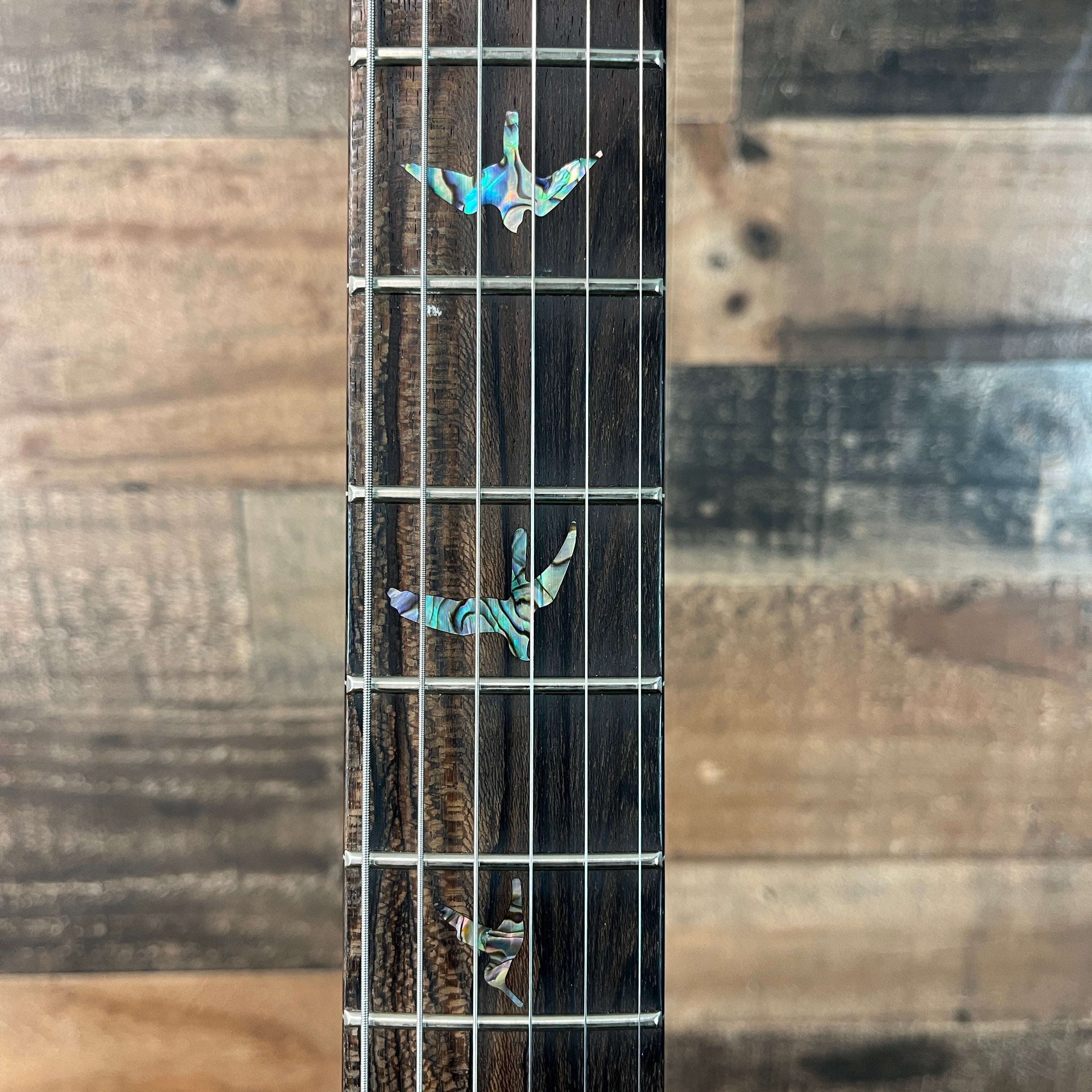 2025 Wood Library, Special 22 Semi Hollow, 10-Top, Custom Charcoal Quilt, Paisley Case, 552