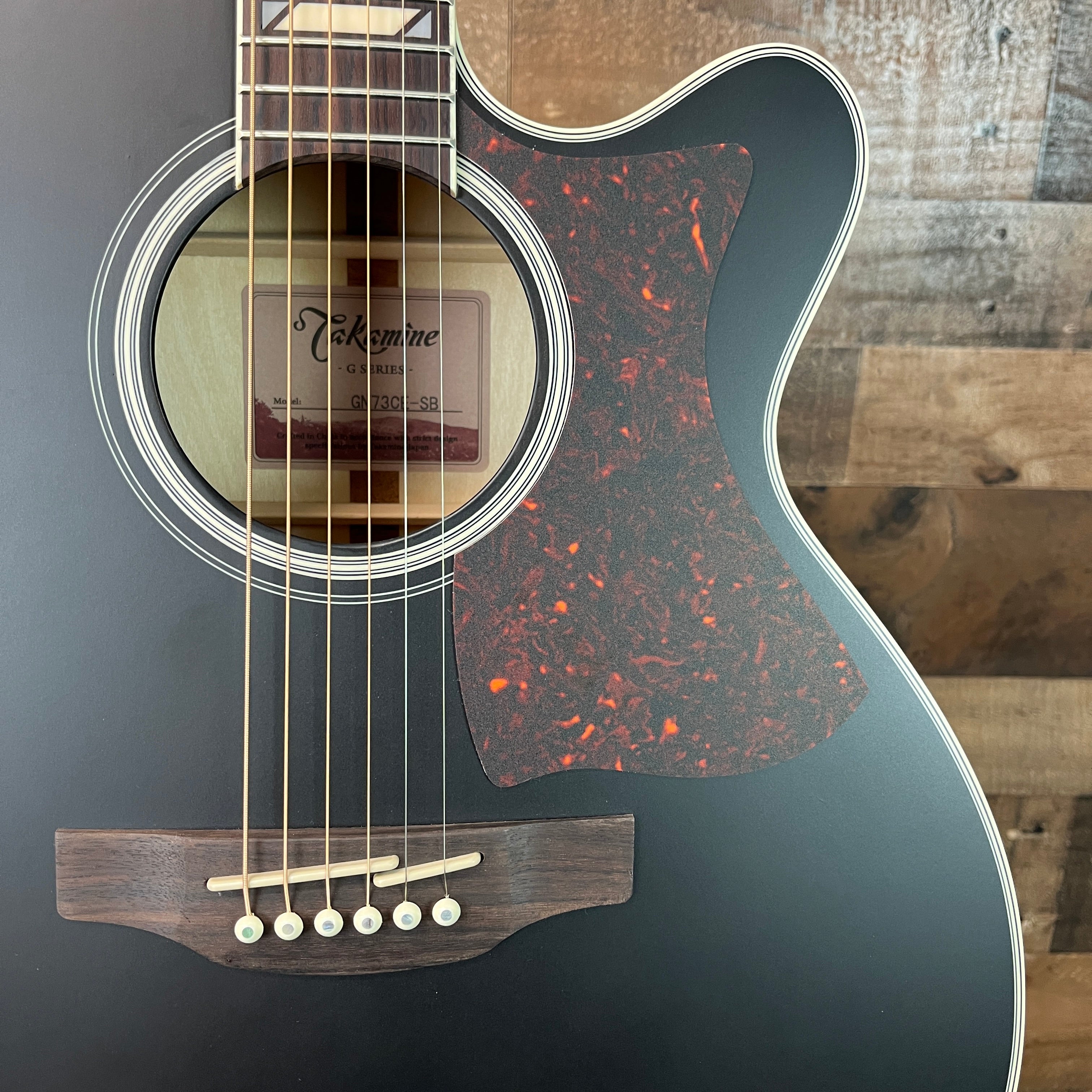 GN73CE NEX Acoustic/Electric Guitar, Satin Black, 435