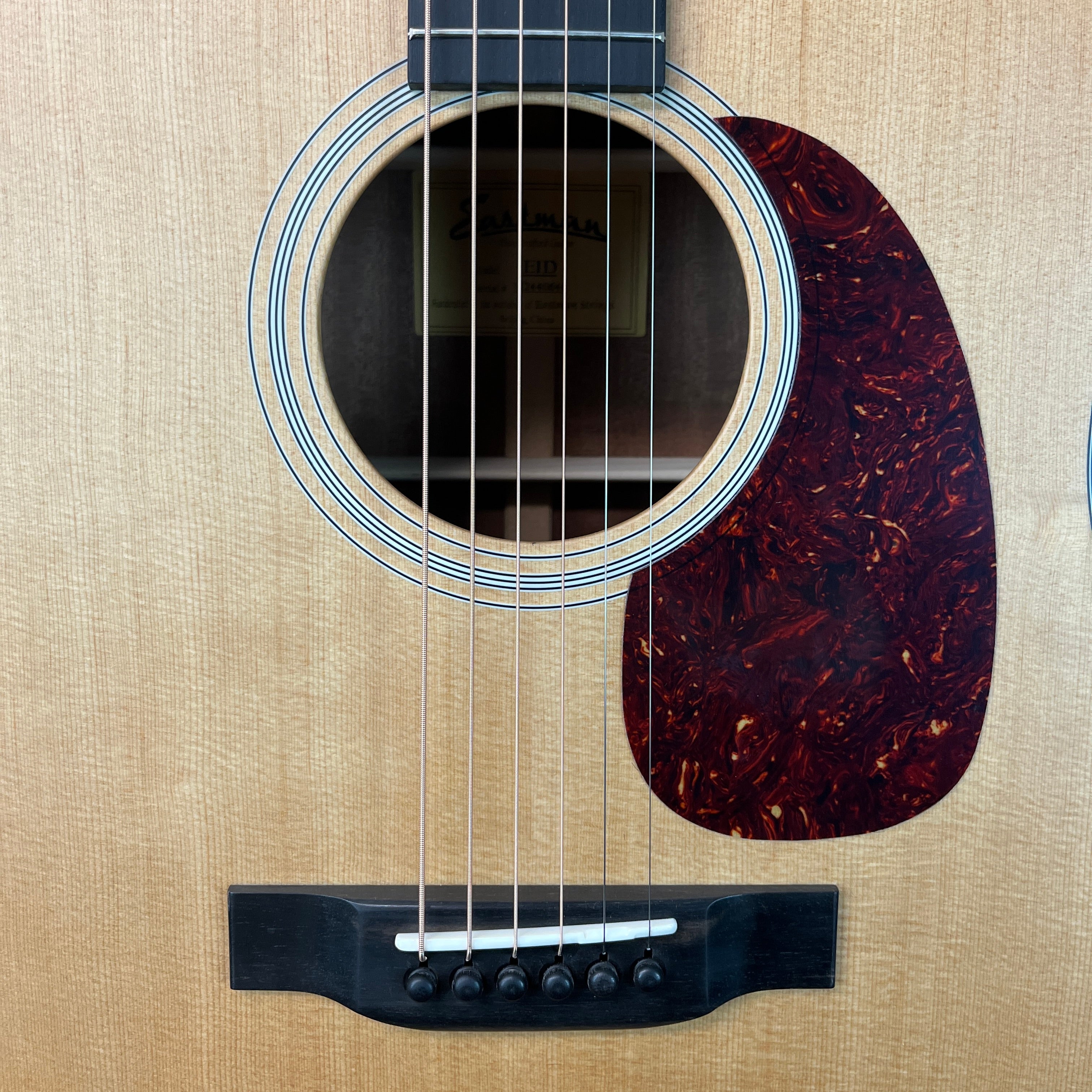 Eastman Guitars E1D Dreadnought Acoustic Guitar, Natural, Gig Bag, 644