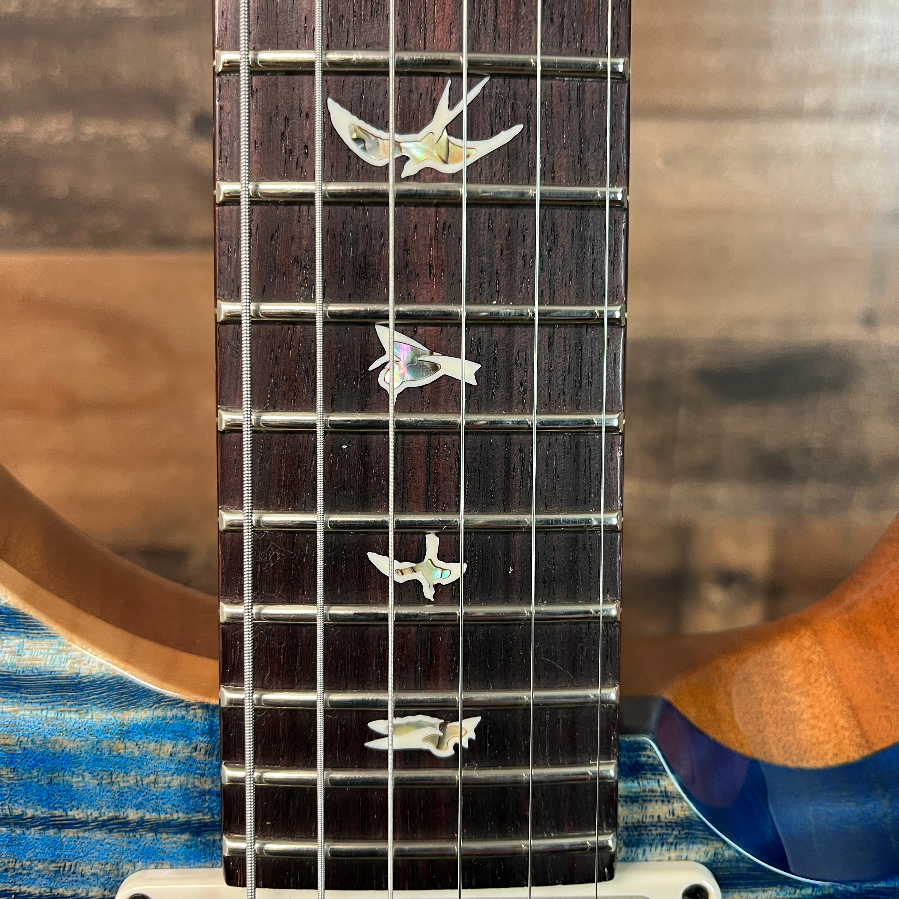PRS DGT 10-Top Electric Guitar with Bird Inlays - Faded Blue Jean, Bird Inlays, 894