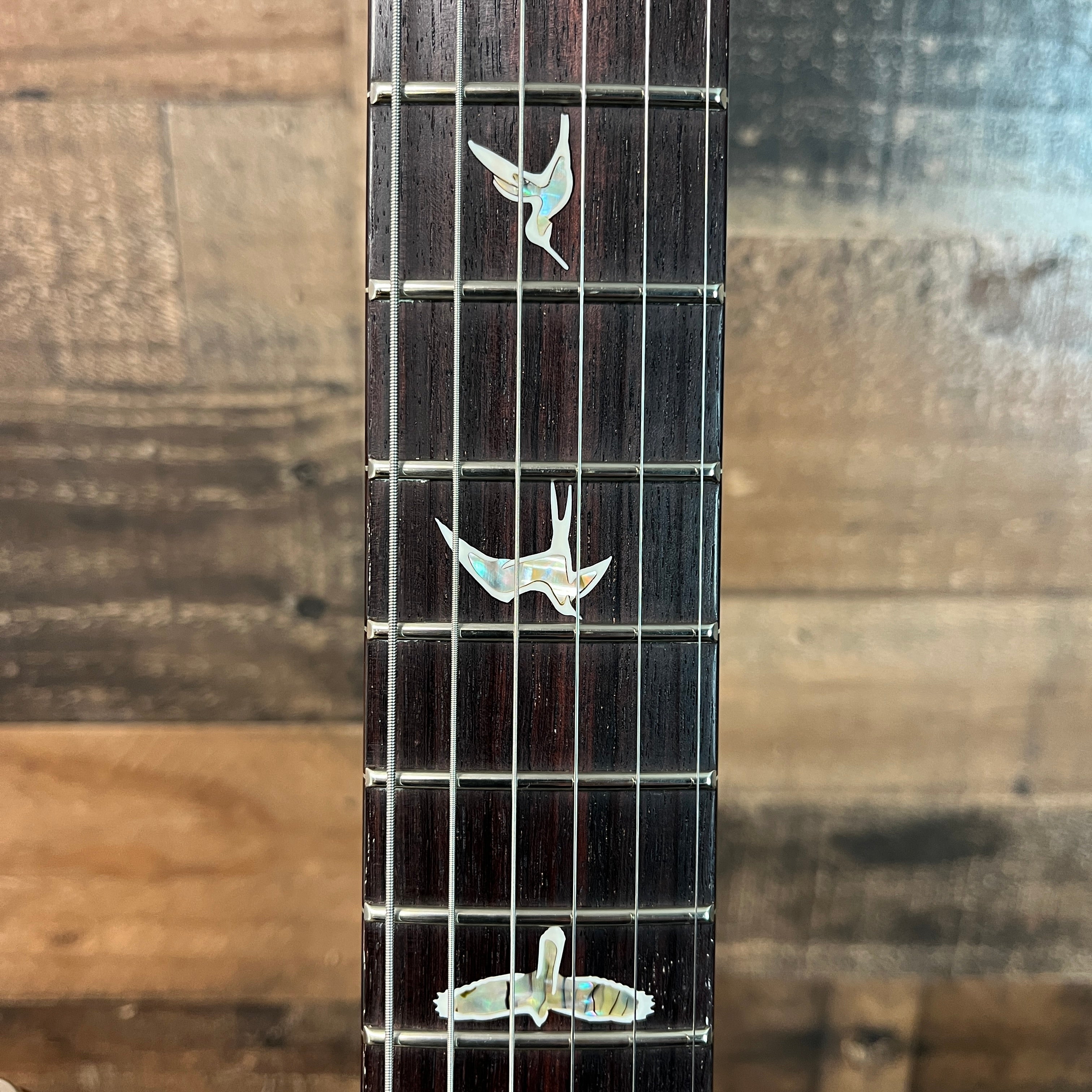 PRS DGT 10-Top Electric Guitar with Bird Inlays - Faded Blue Jean, Bird Inlays, 894