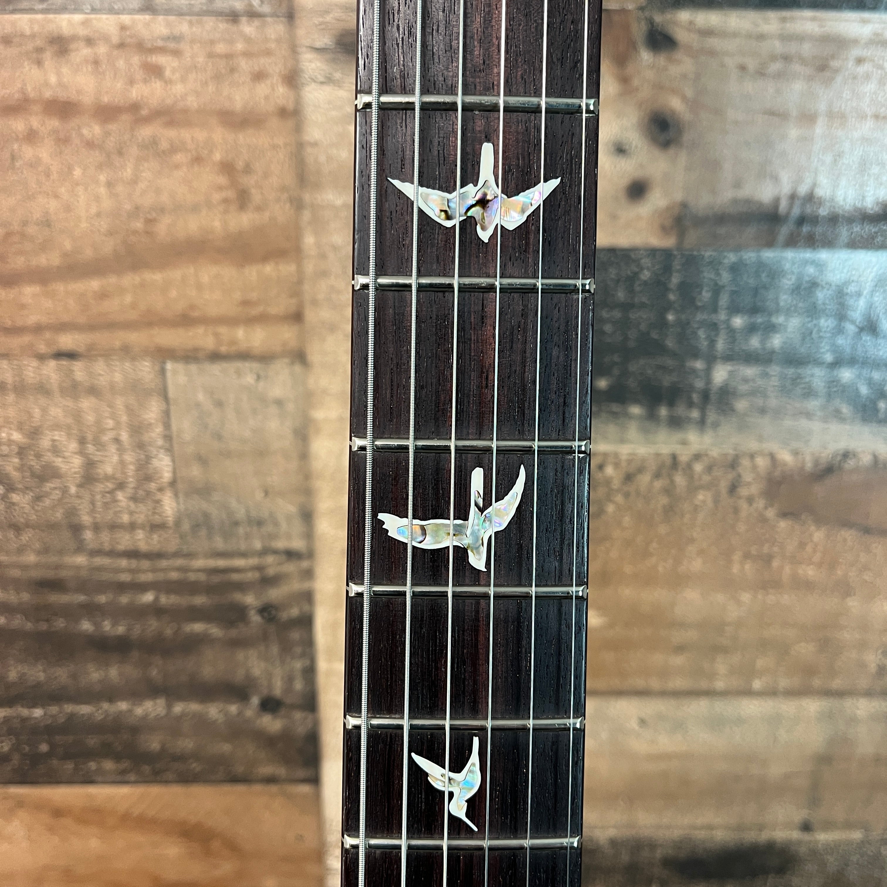 PRS DGT 10-Top Electric Guitar with Bird Inlays - Faded Blue Jean, Bird Inlays, 894