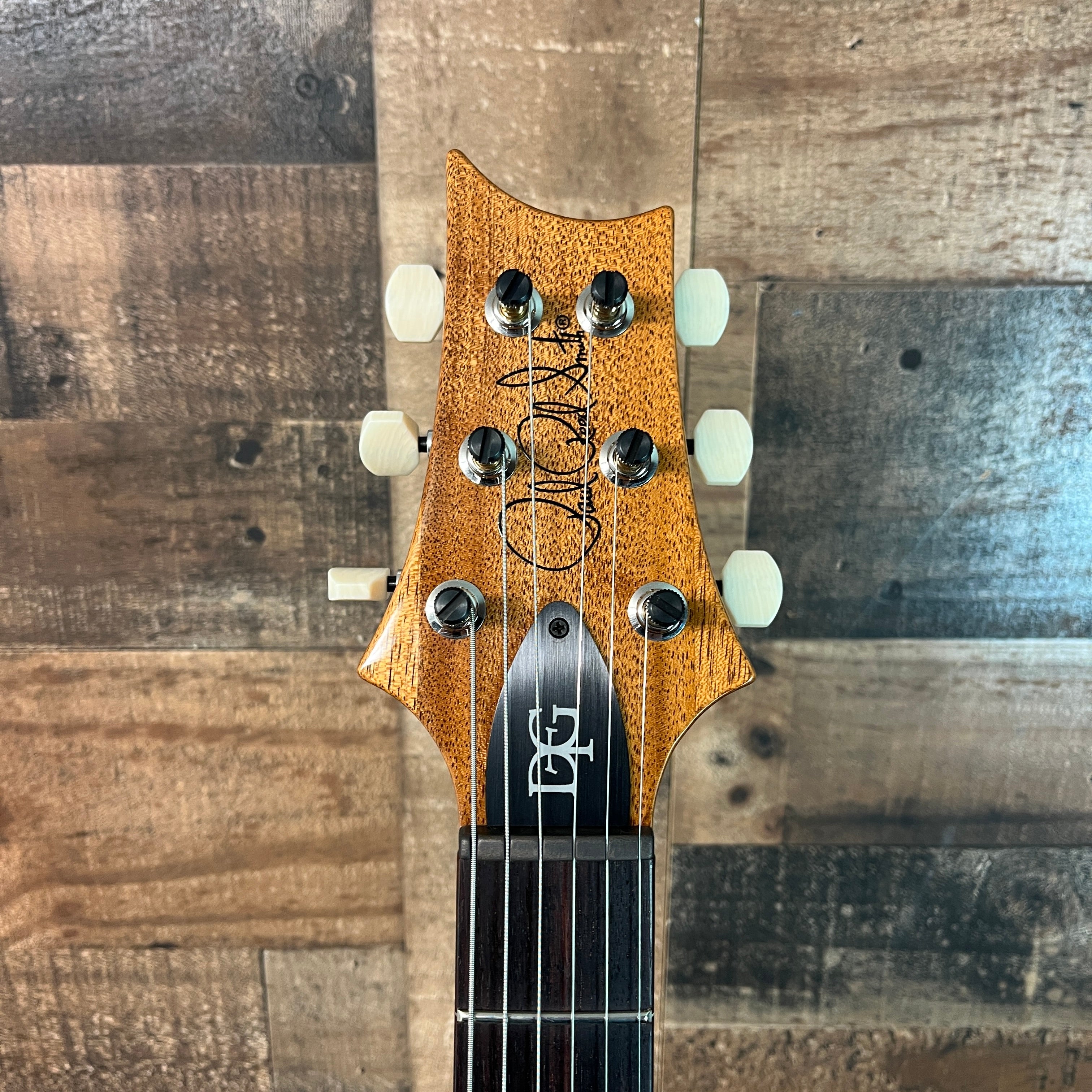 PRS DGT 10-Top Electric Guitar with Bird Inlays - Faded Blue Jean, Bird Inlays, 894