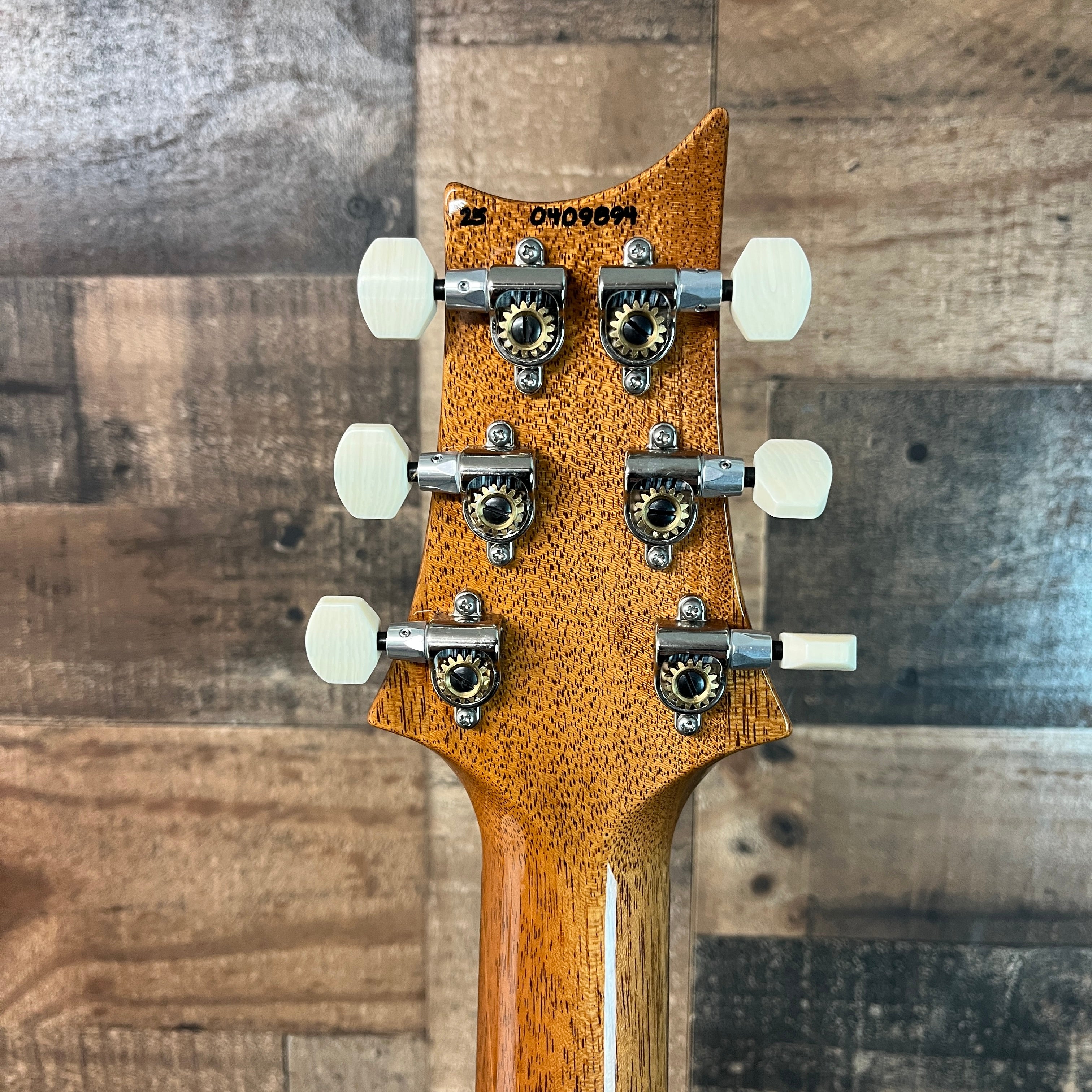 PRS DGT 10-Top Electric Guitar with Bird Inlays - Faded Blue Jean, Bird Inlays, 894