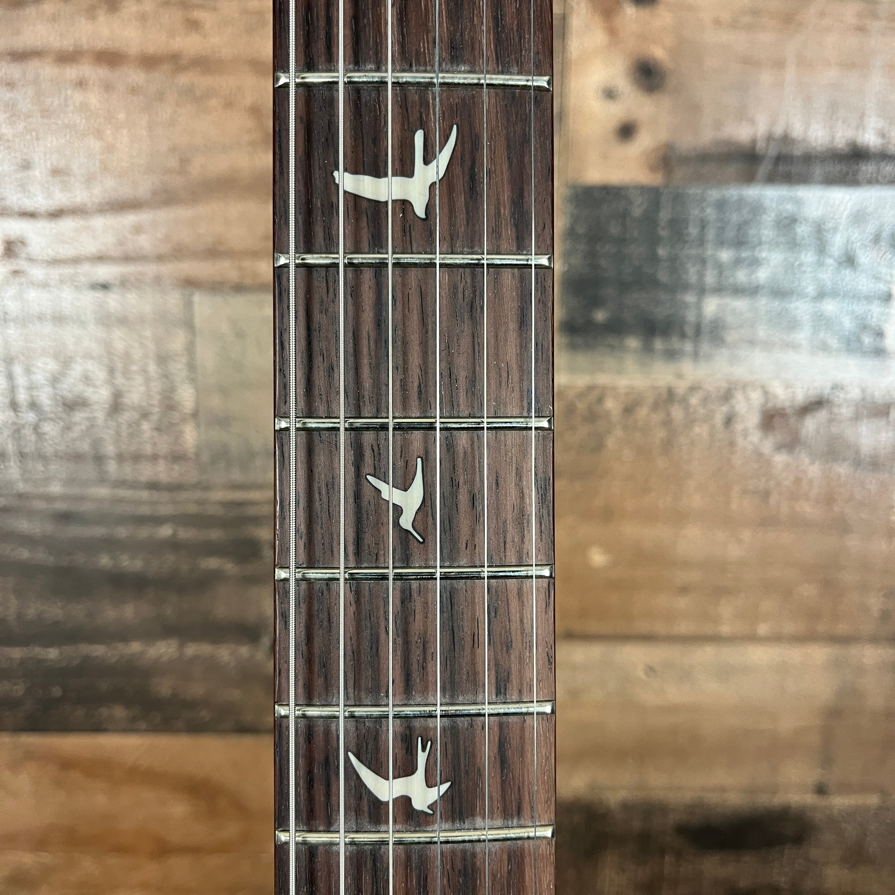 PRS SE Silver Sky, Dandy Lion, Gig Bag, 874