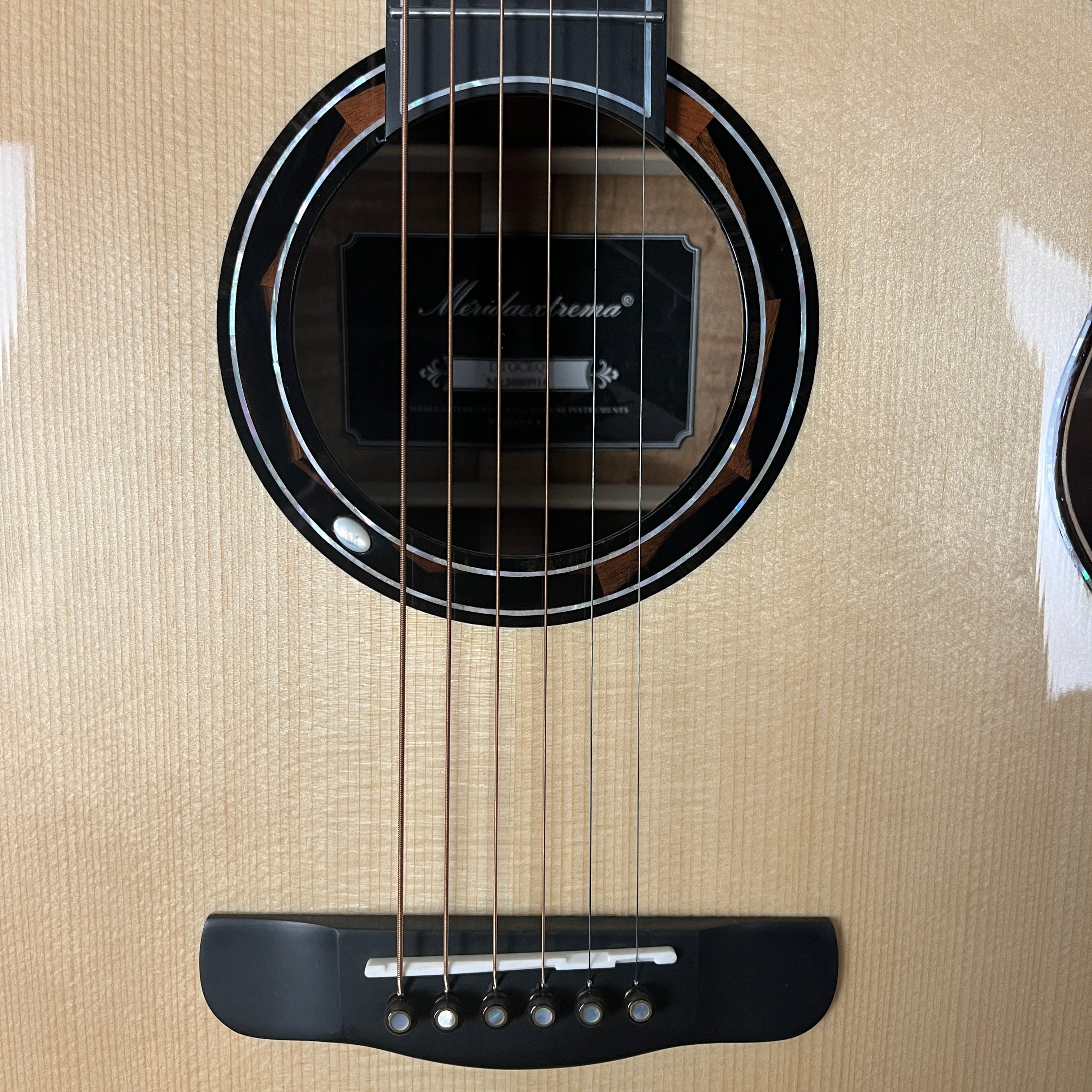 Meridaextrema DTGCEQ Acoustic Electric, w/Gig Bag, 916