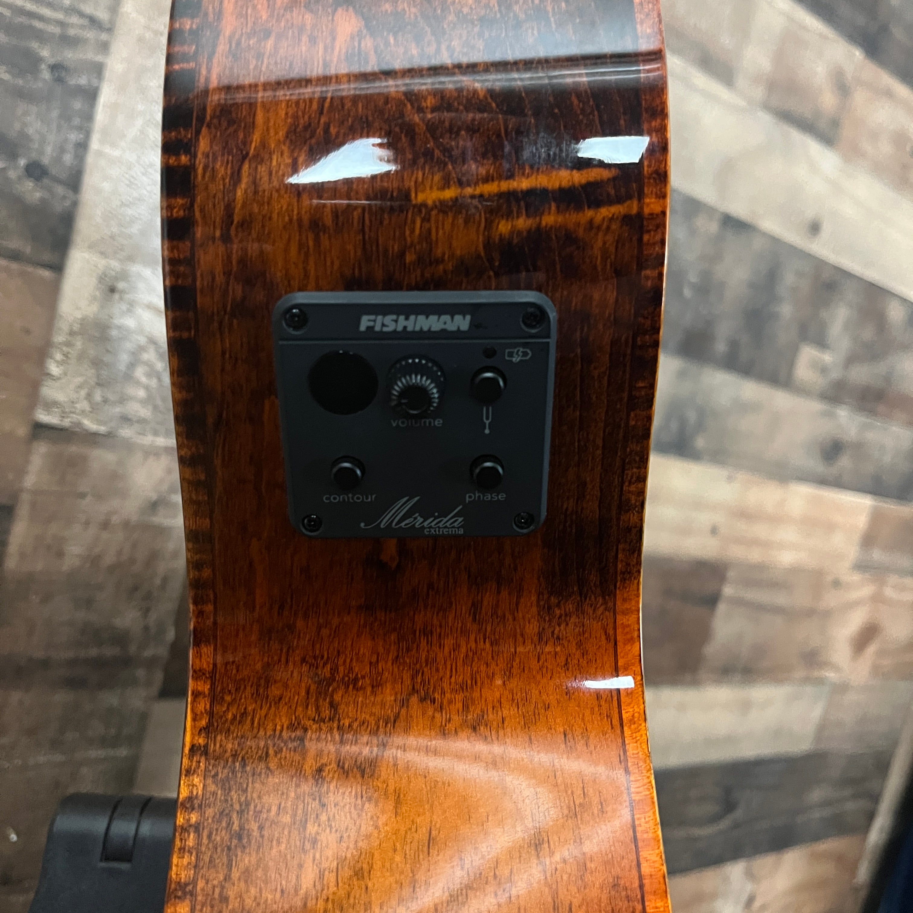 Meridaextrema DTGCEQ Acoustic Electric, w/Gig Bag, 916