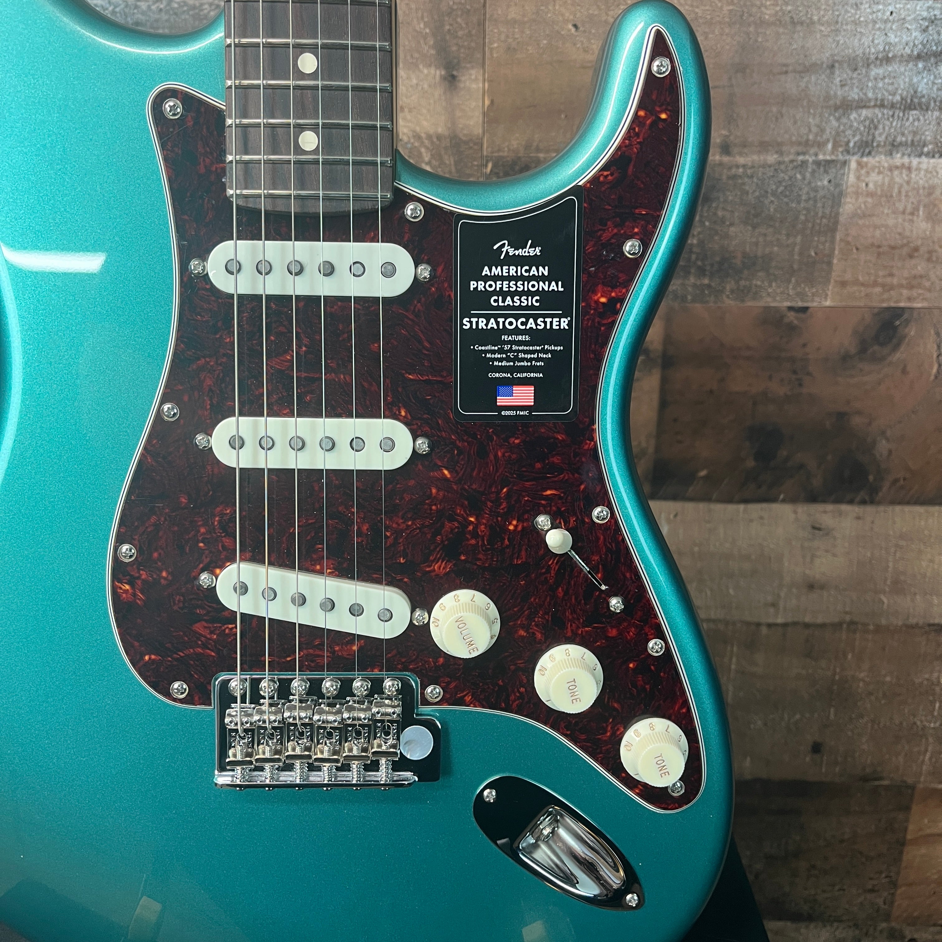 Fender American Professional Classic Stratocaster, Sherwood Forest Green Metallic, Gig Bag, 466