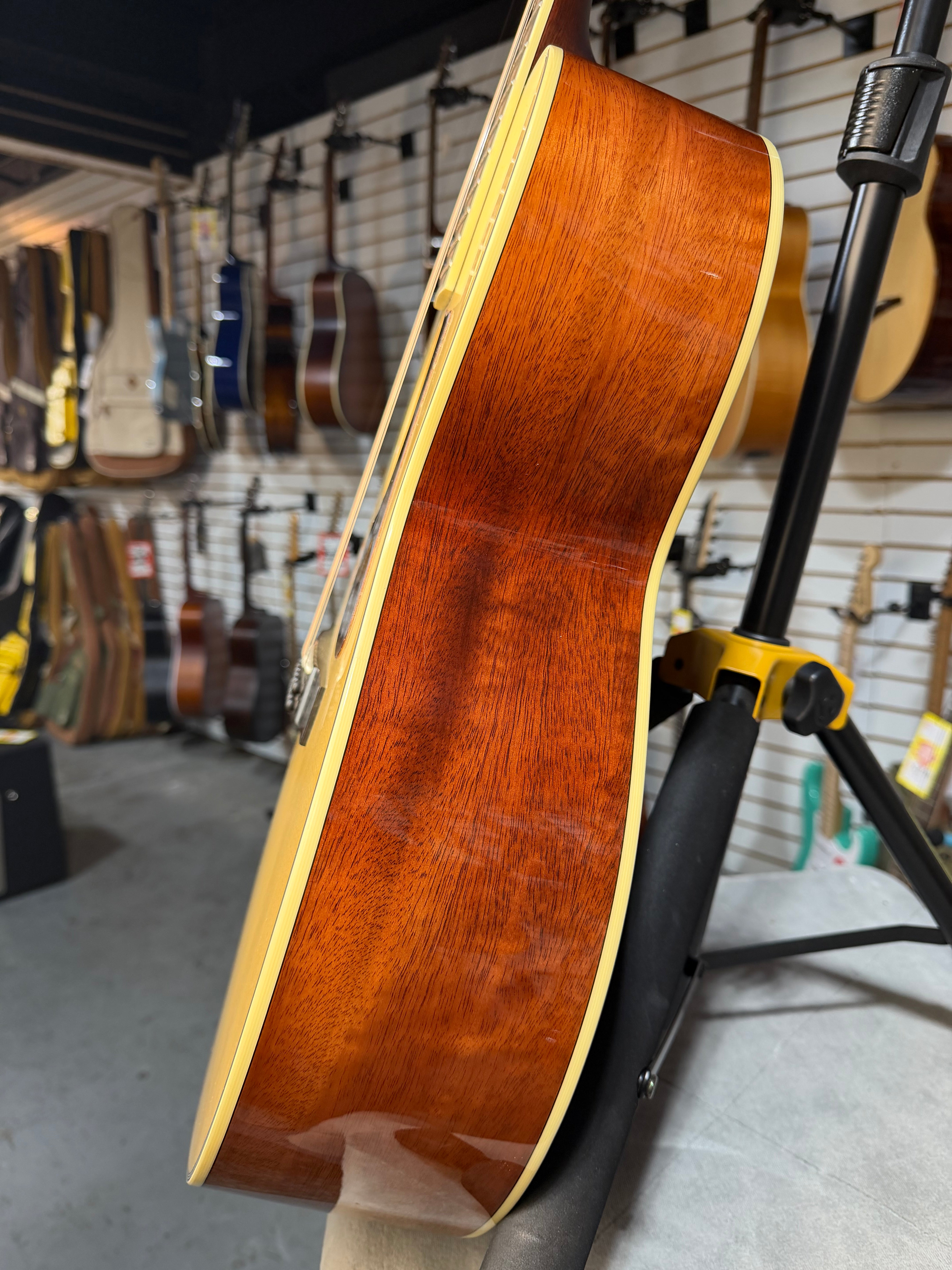 Eastman AC330E-12 Natural