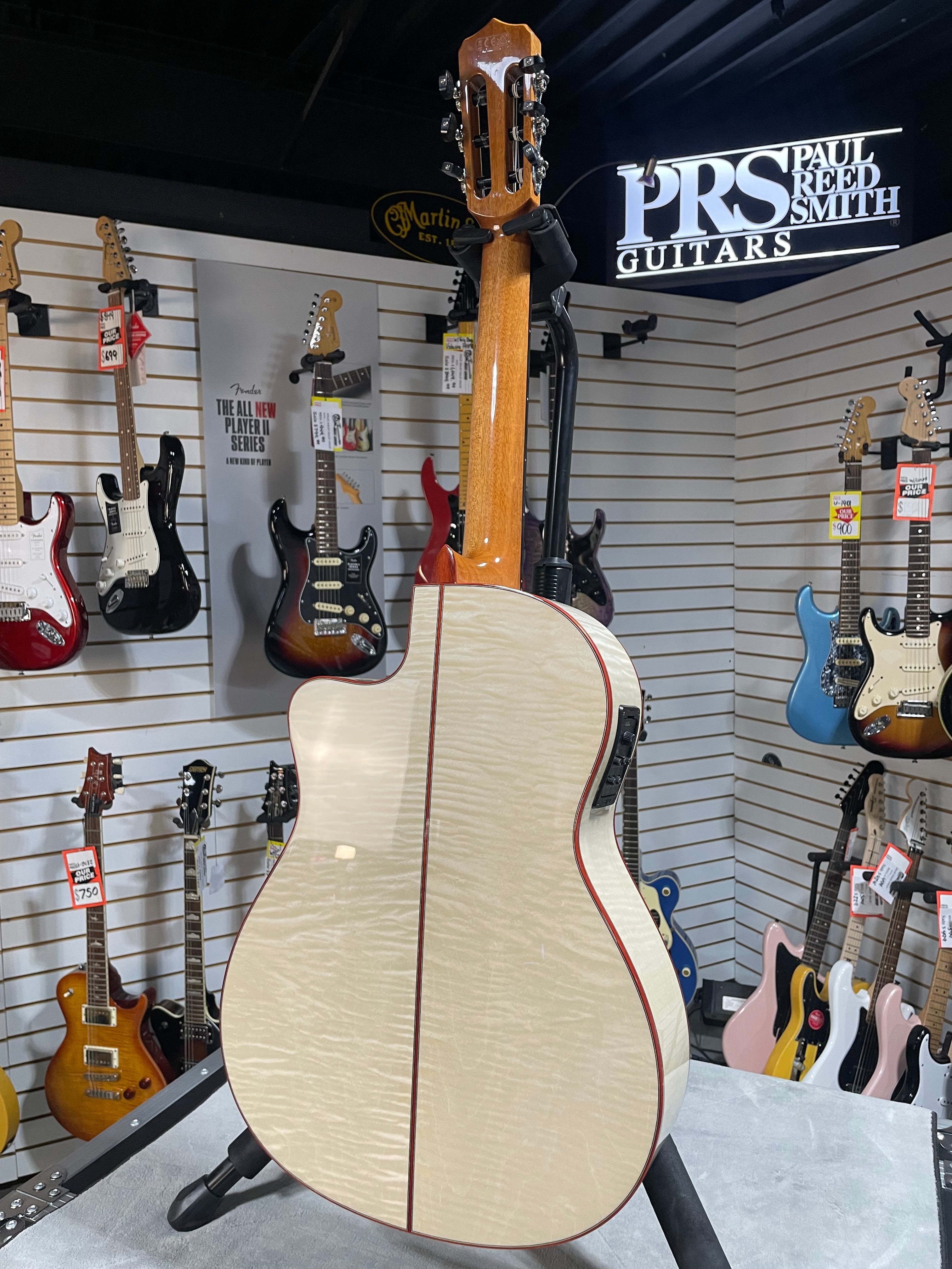 Fusion 12 Exotic Top Nylon-string Acoustic-electric Guitar - White Sands #098 GET PLEK'D!