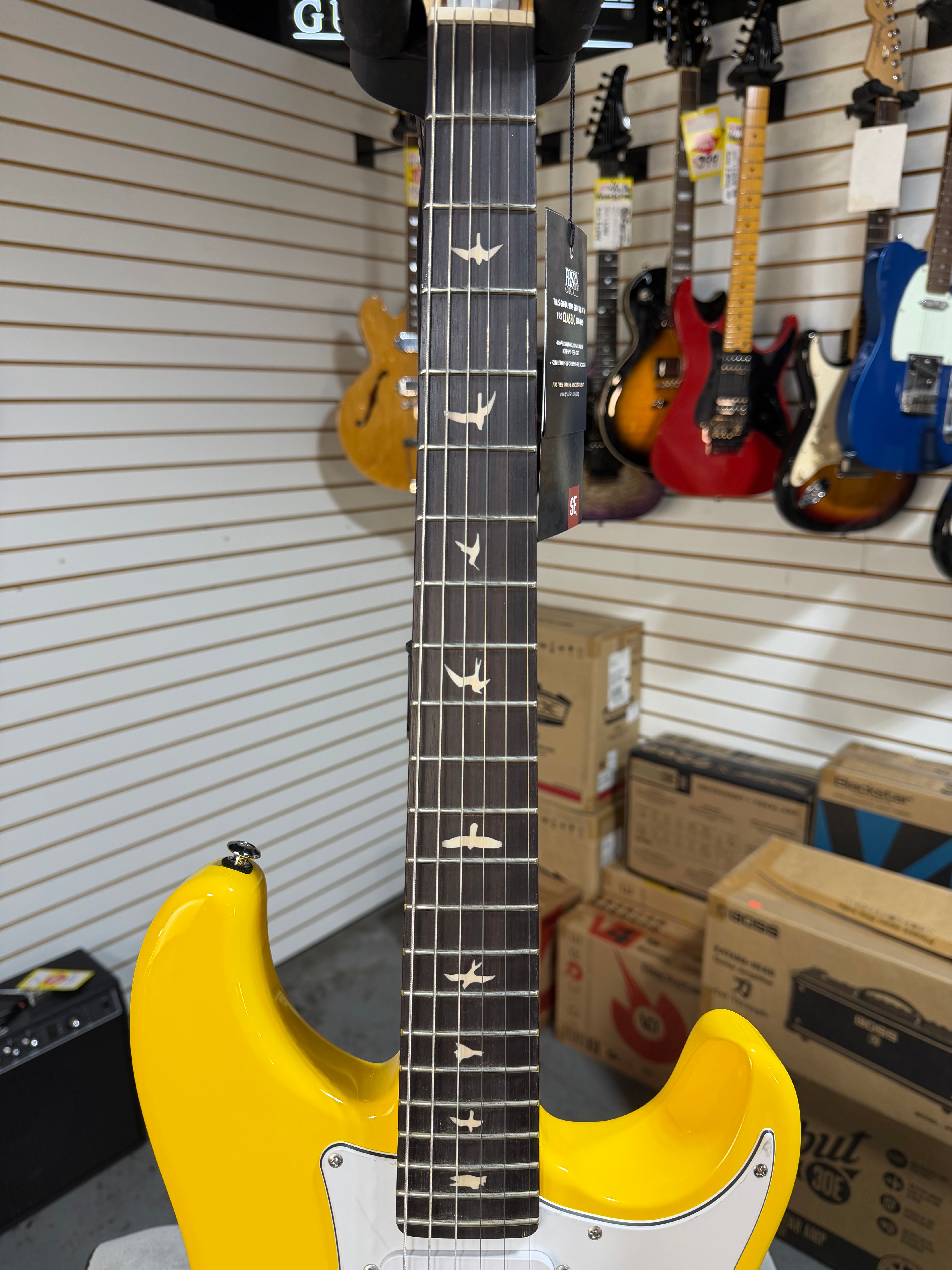 PRS SE Silver Sky Dandy Lion