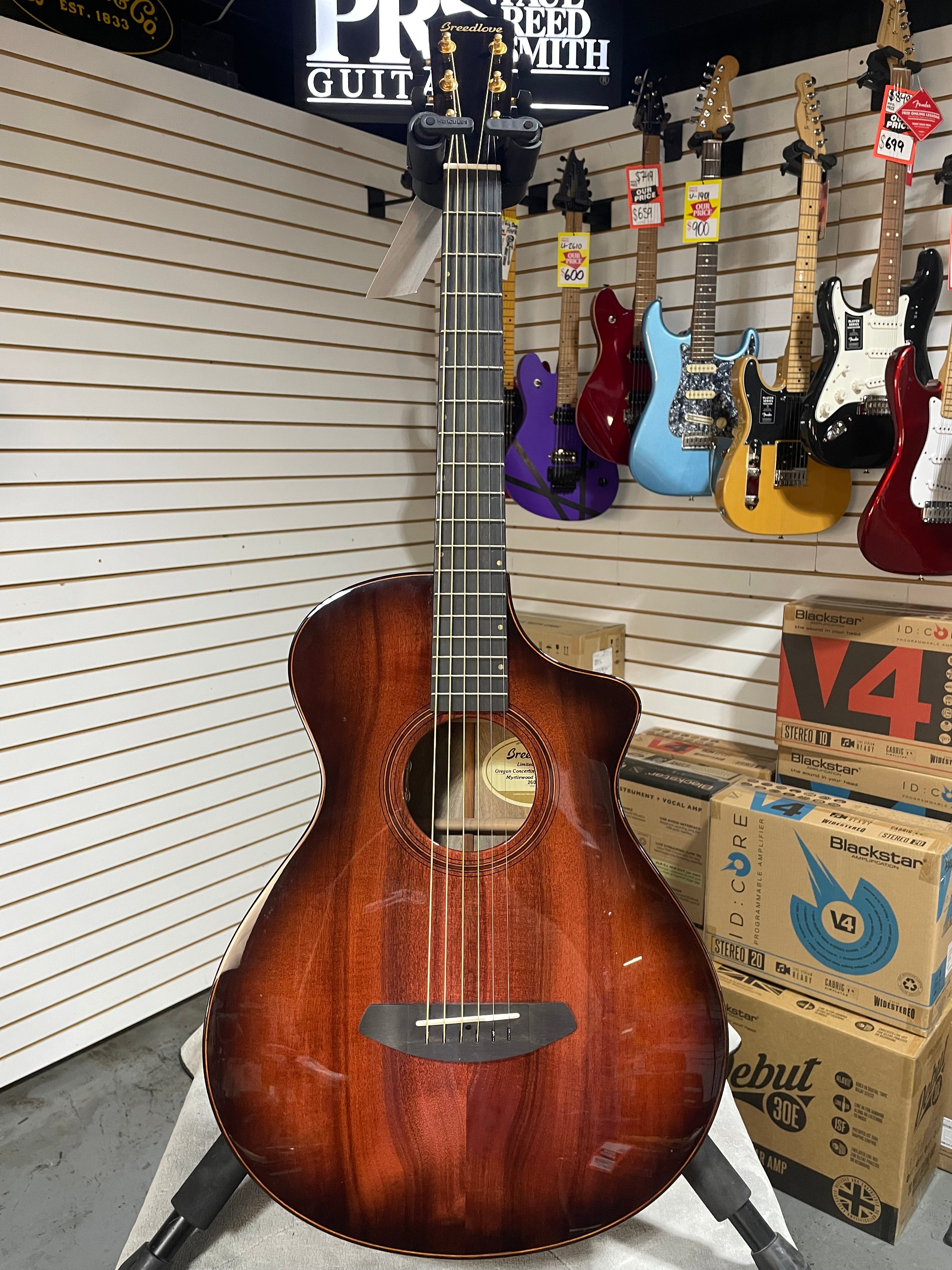 Breedlove Oregon Concertina CE Limited Edition Sunset Burst