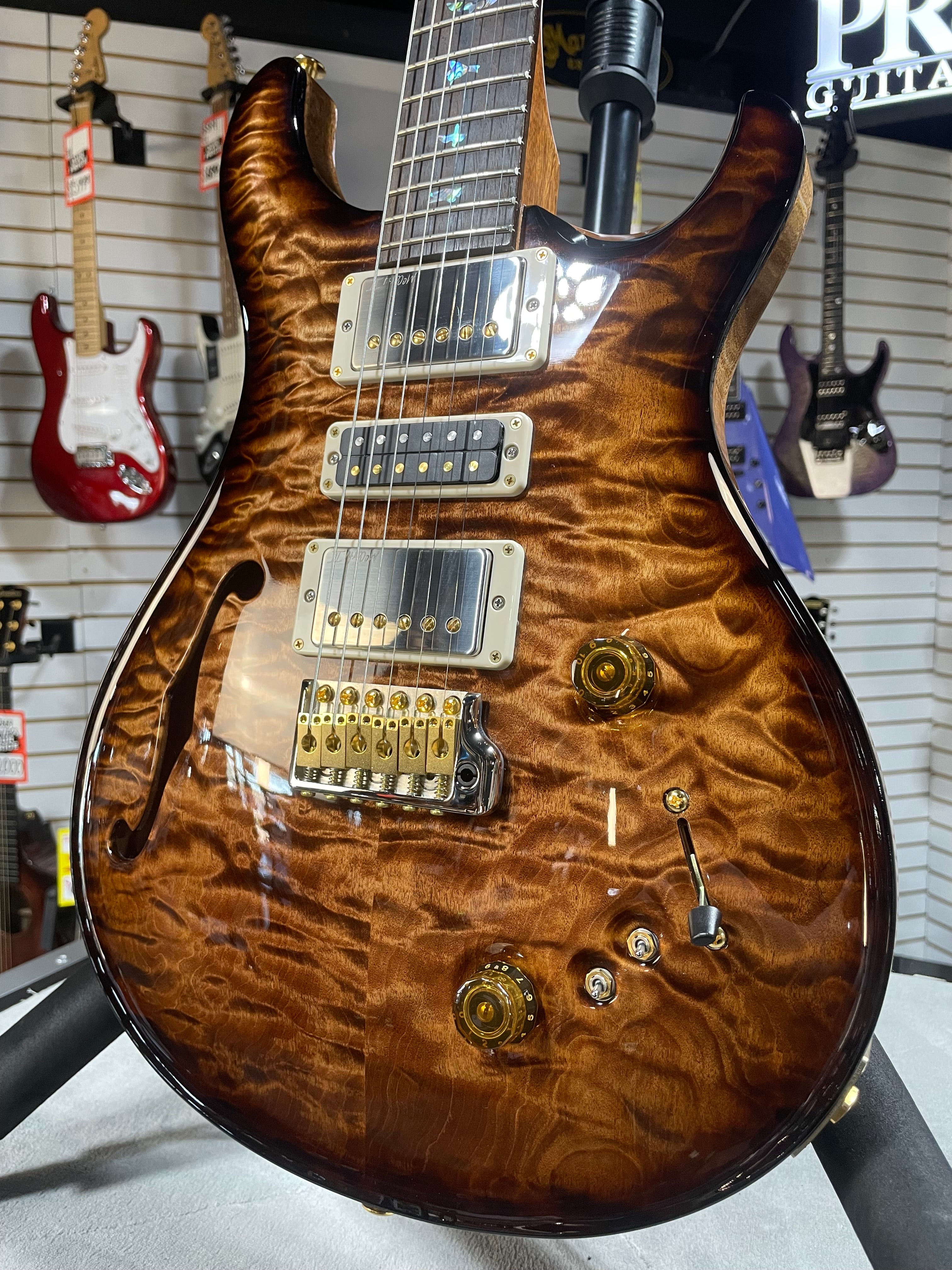 Wood Library Special 22 Semi Hollow - Custom Color Smokeburst #551 GET PLEK'D!